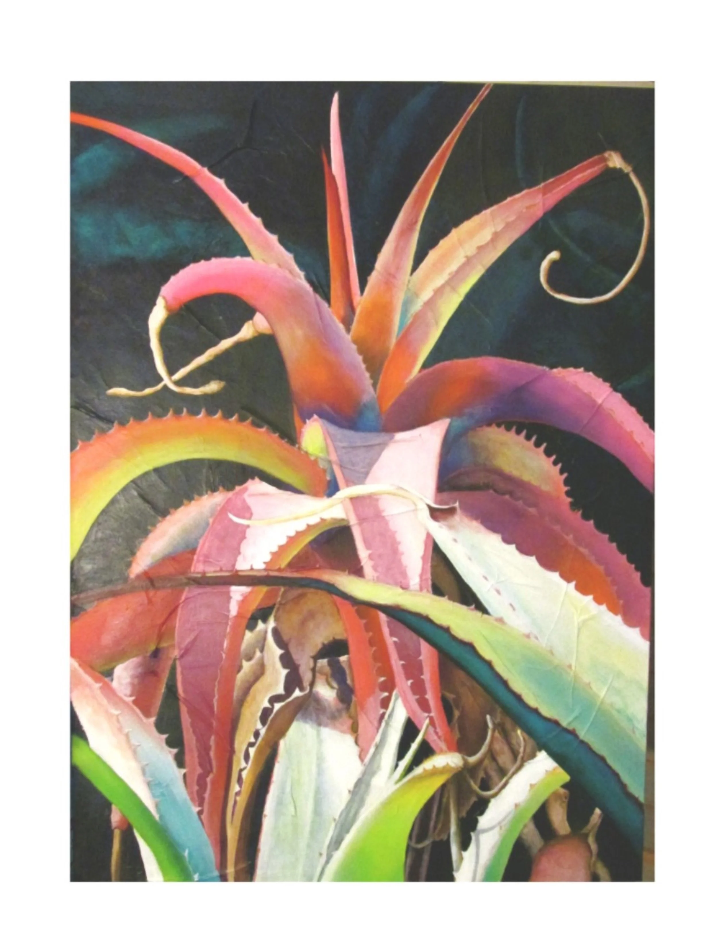 COLORFUL AGAVESOLO.jpg