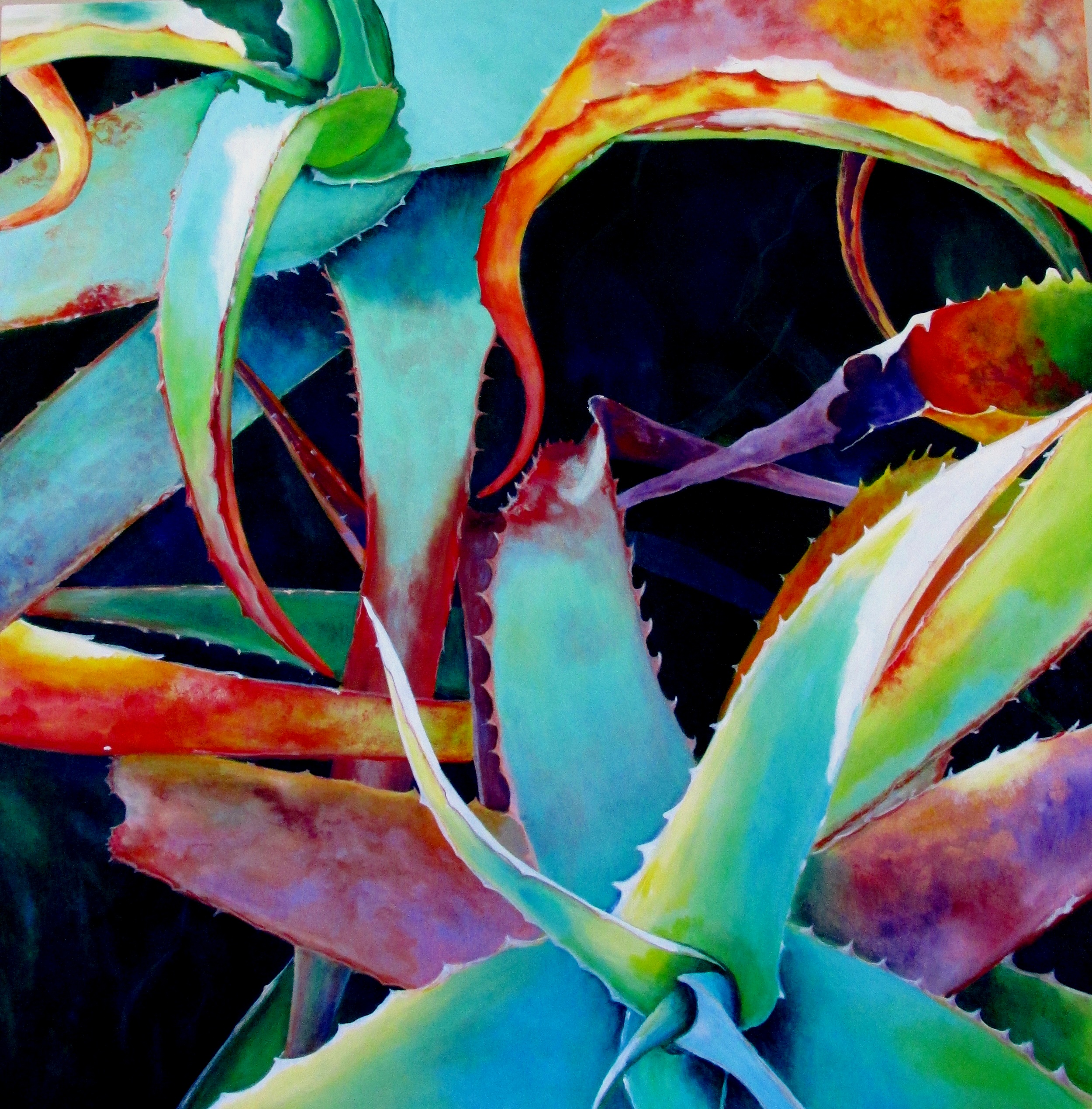 Colorful Aloe