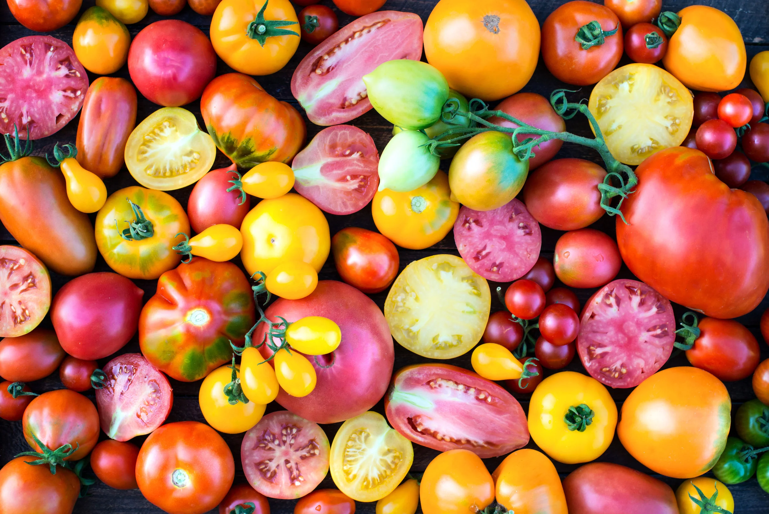 iStock-873841778.jpg