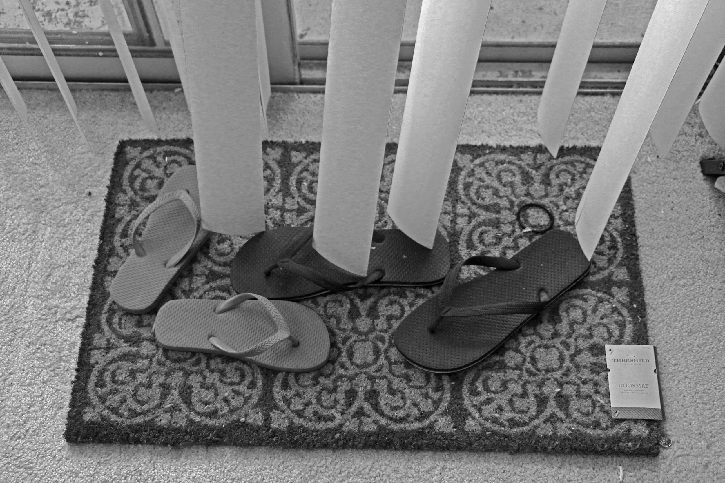 FlipFlops.jpg