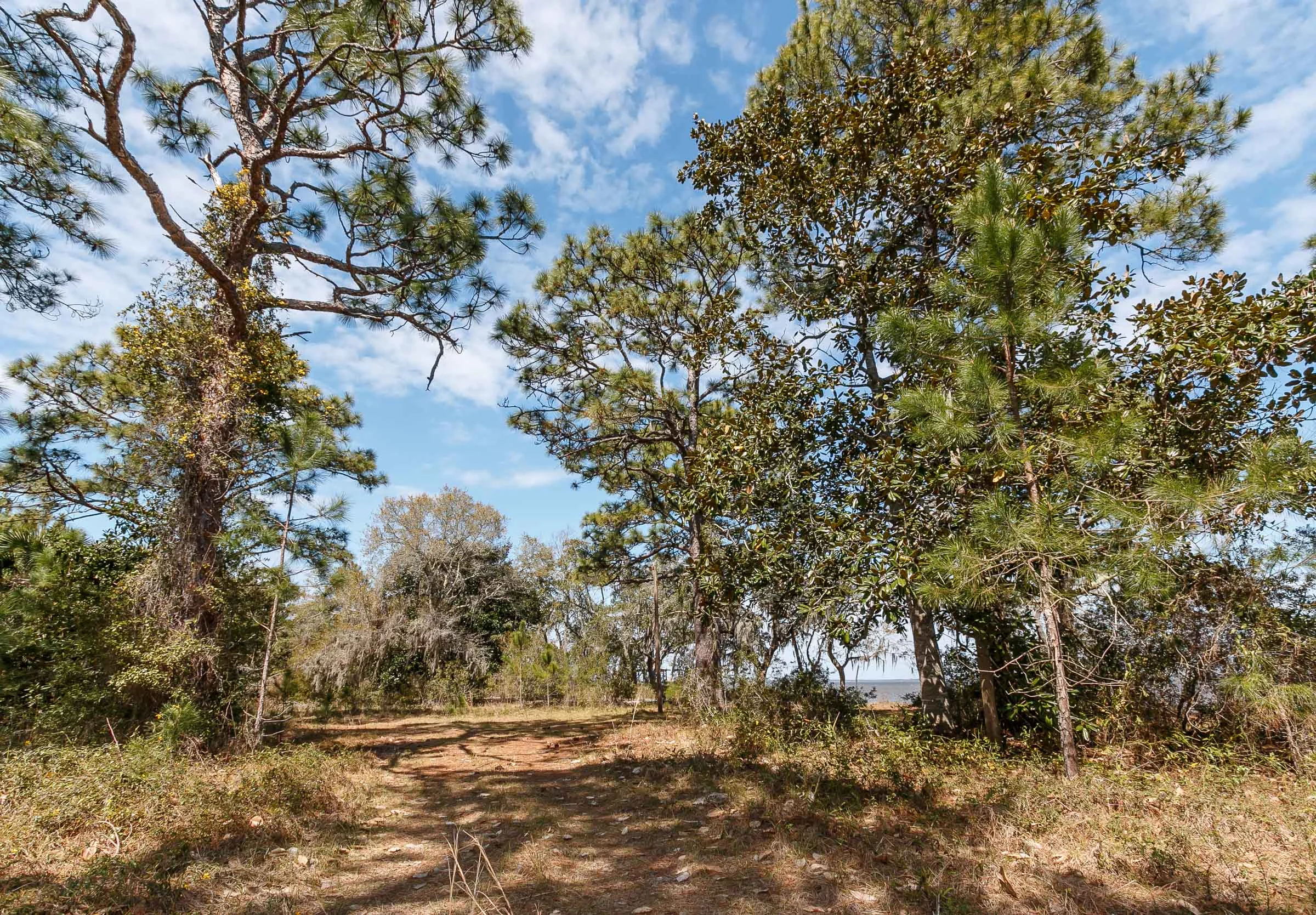 Indian Woman Rd_McGee_2016_03_08_189.JPG