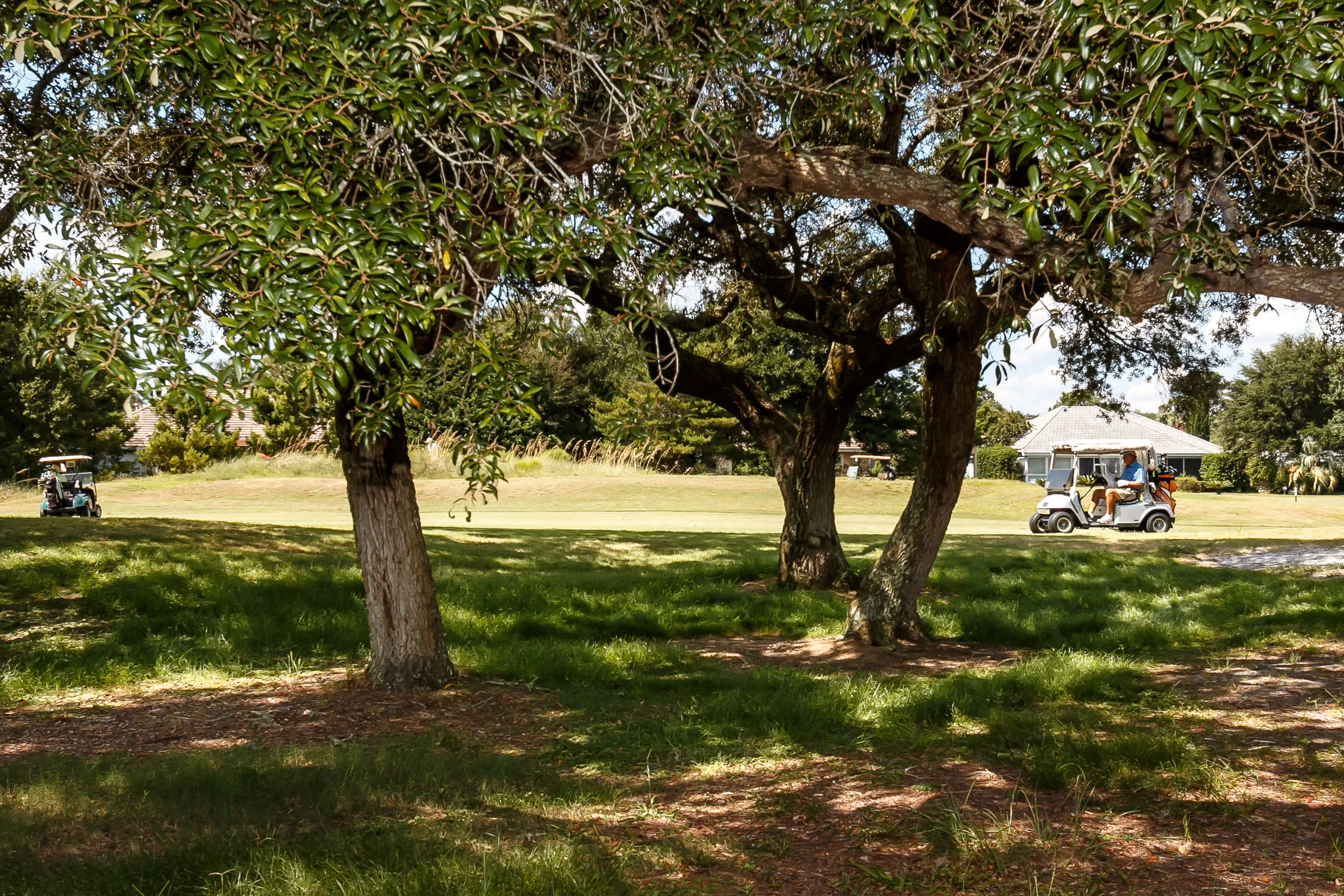 ScottPhotoWorks_34 Country Club_2016_09_20_166.JPG
