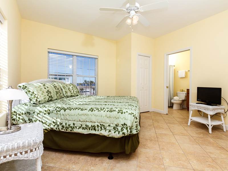 2146_DOL3H_01_L13_jpg