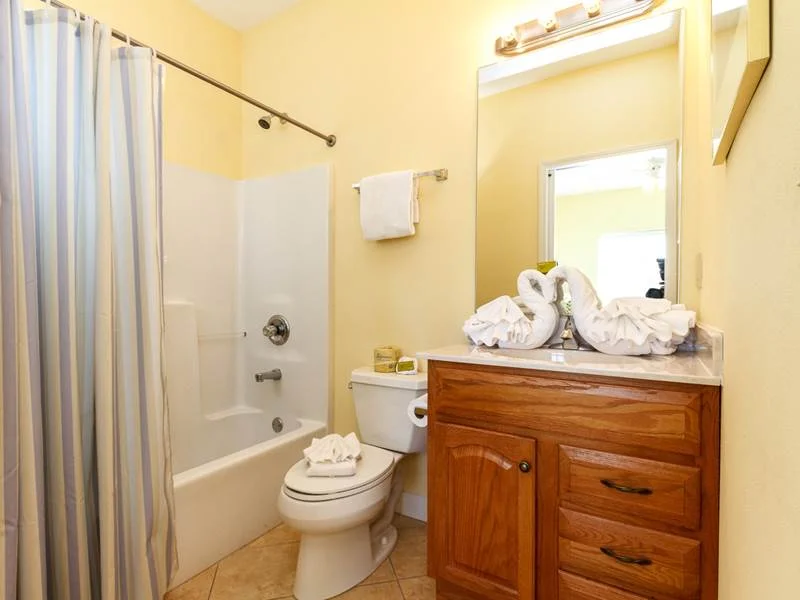 2146_DOL3H_01_L15_jpg