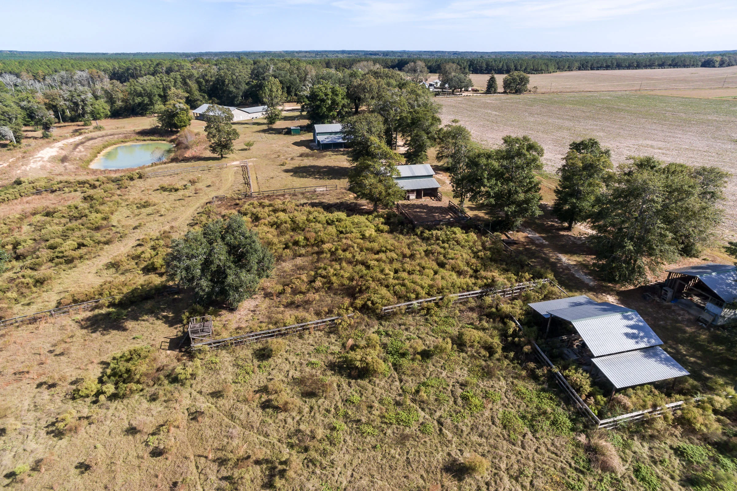 ScottPhotoWorks_1015 TR Miller Rd_2016_11_05_0199.JPG