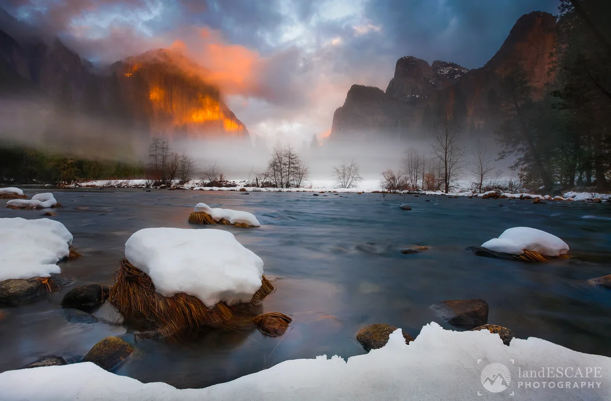 A Midwinter Night's Dream