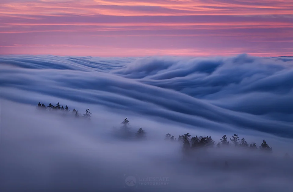 Sound Waves
