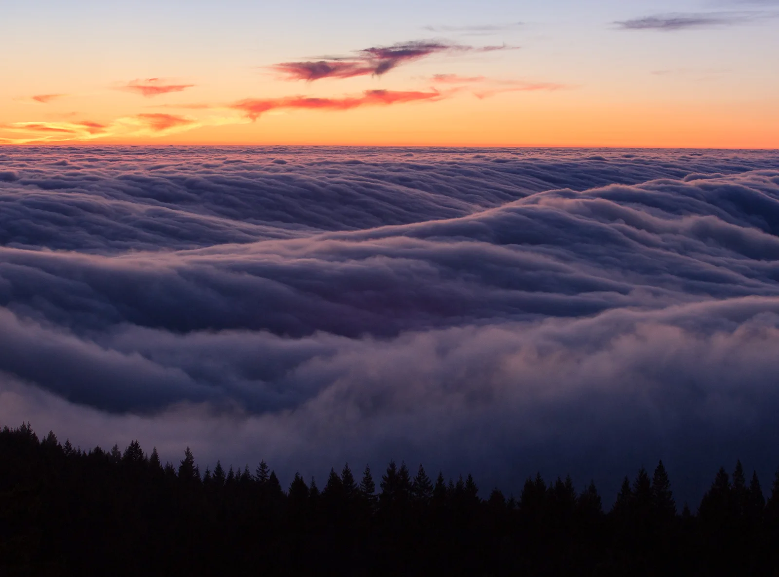 Marine layer fog flows over coastal ridges in Marin County, California. No filter used. The fog appears 'frozen'. ISO 400, 70mm (cropped), f/14, 0.3"