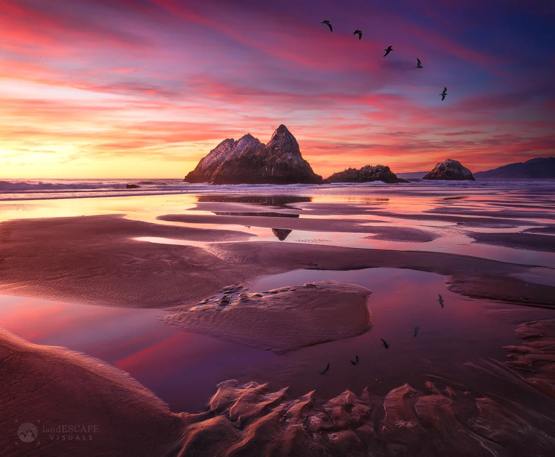 Emptied Sea