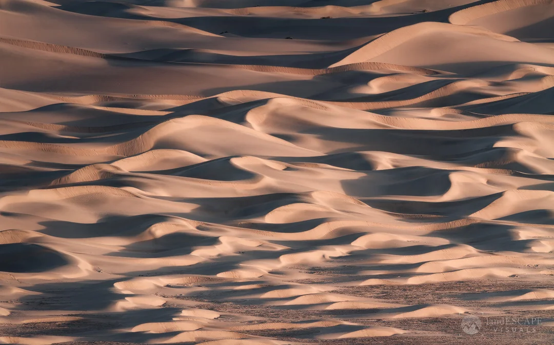 ~Oscillations~