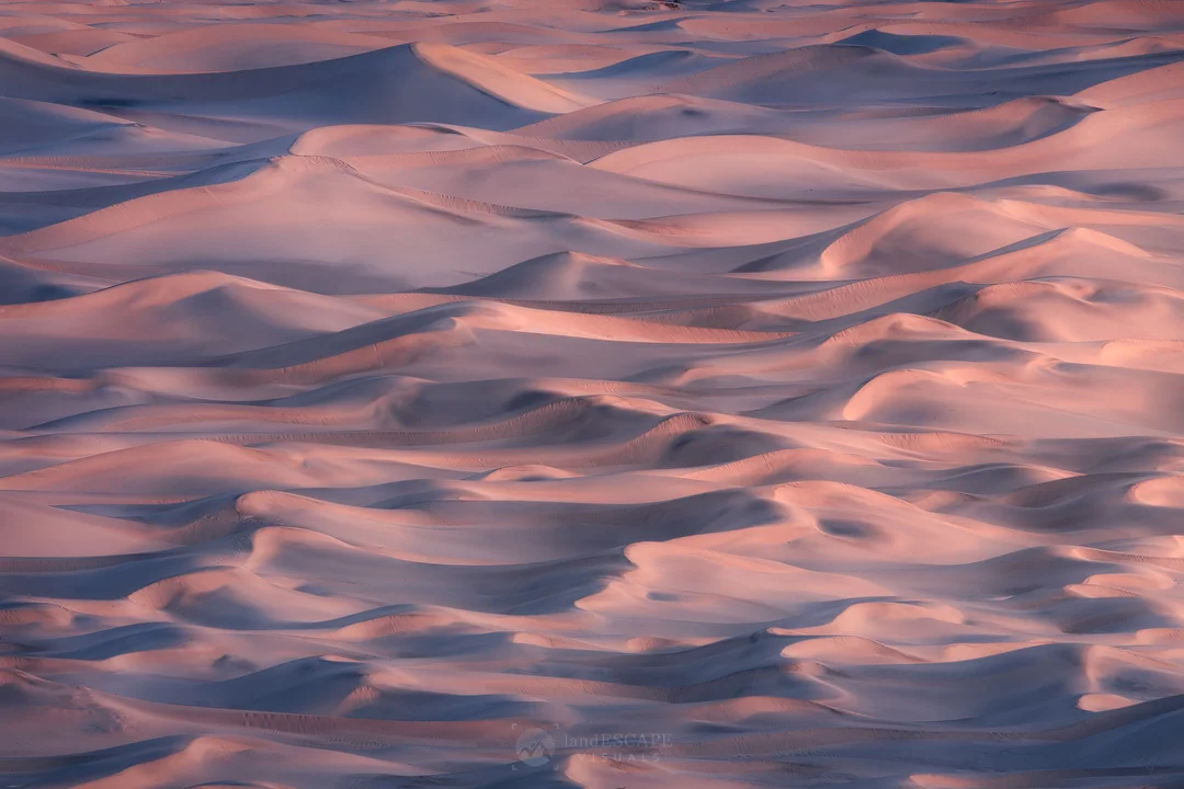 ~Desert Tapestry~