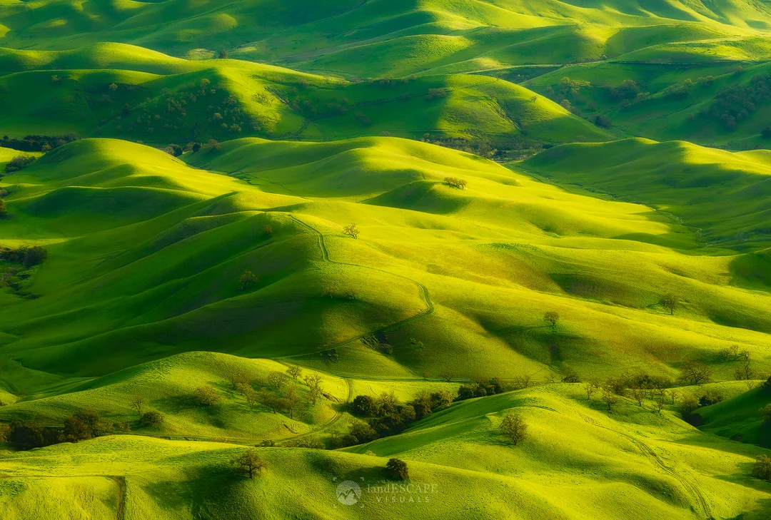 ~Alta~