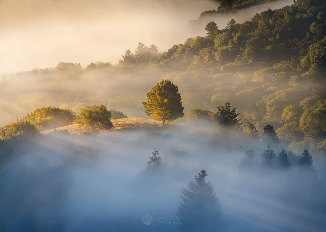 Summermist