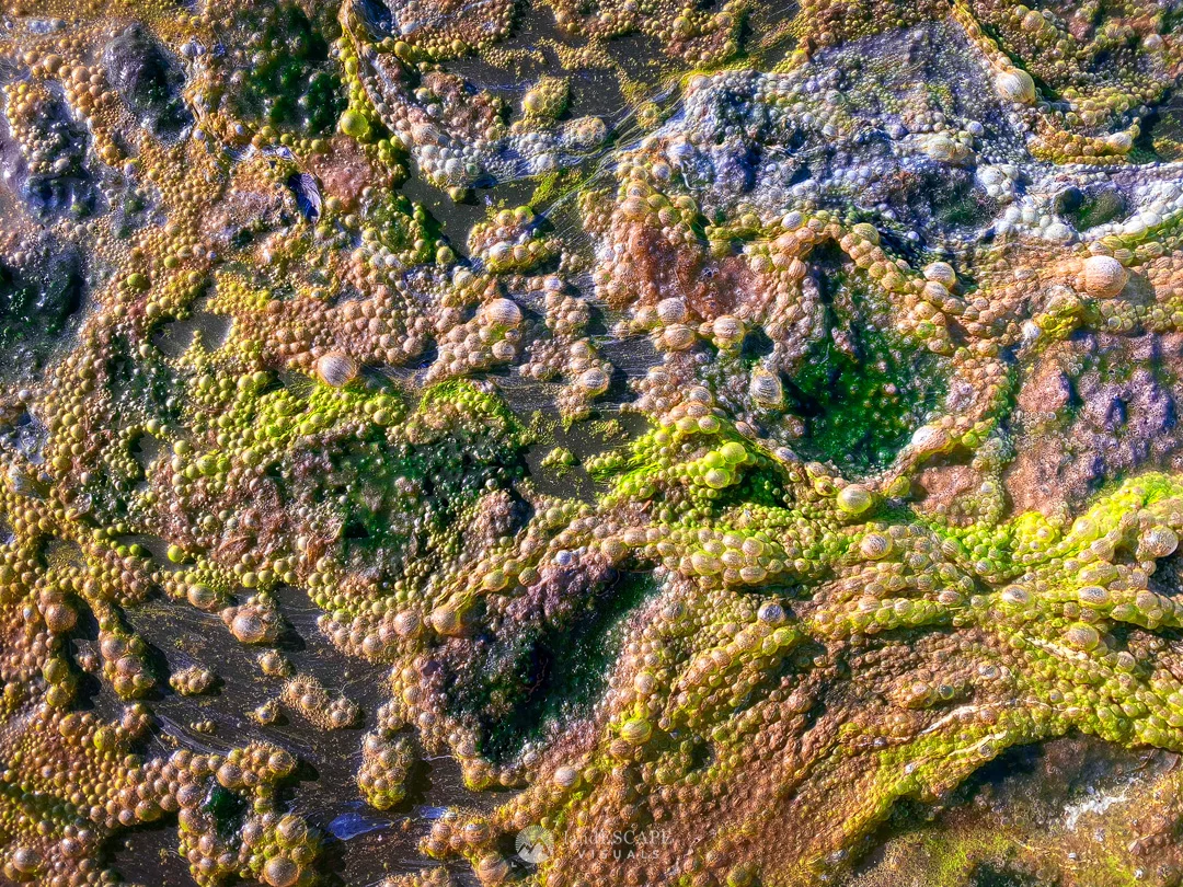 Beneath the Surface