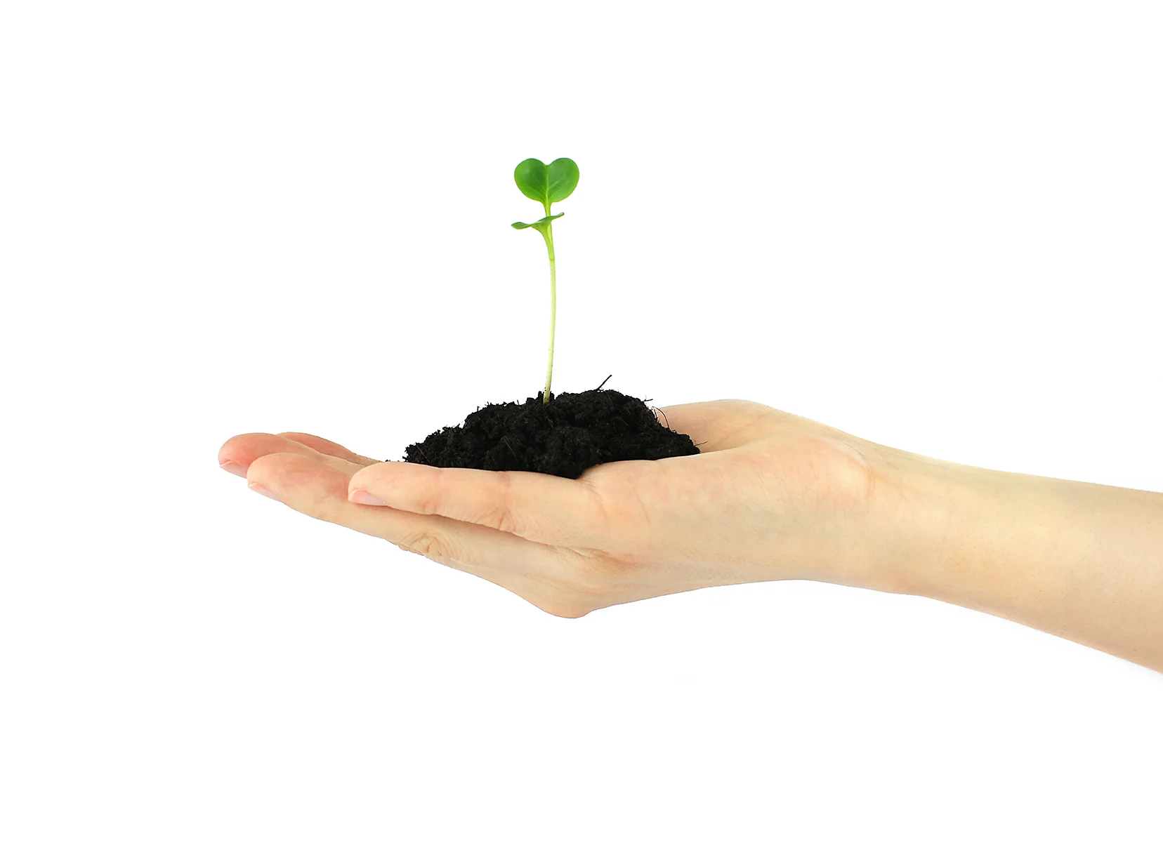 Donate — Maui County Soil & Water Conservation District