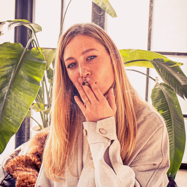 1.gif