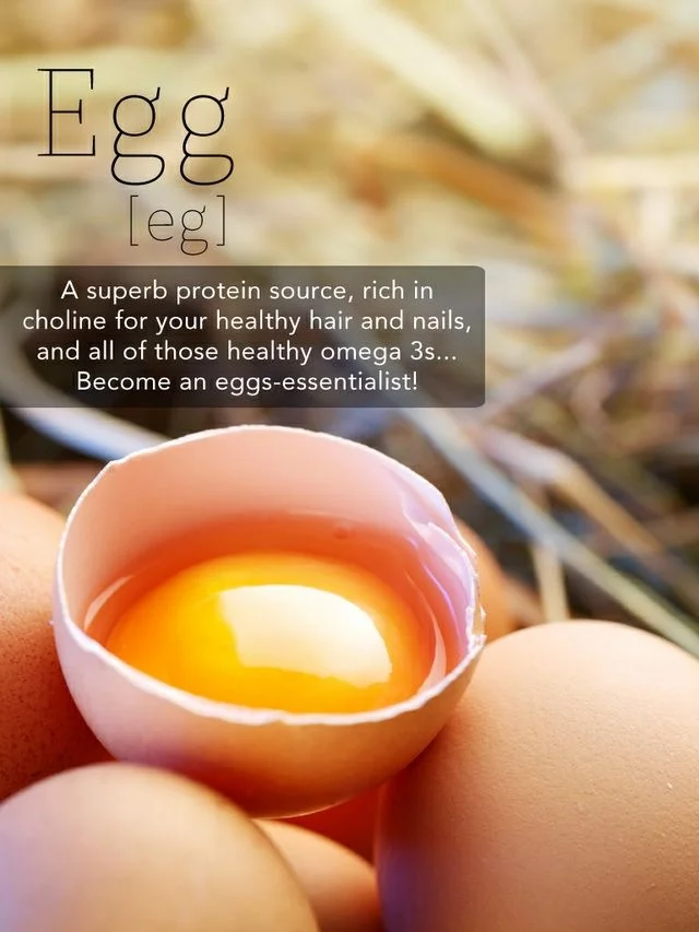 Egg