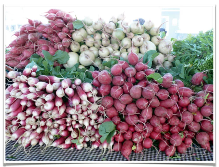 Radishes