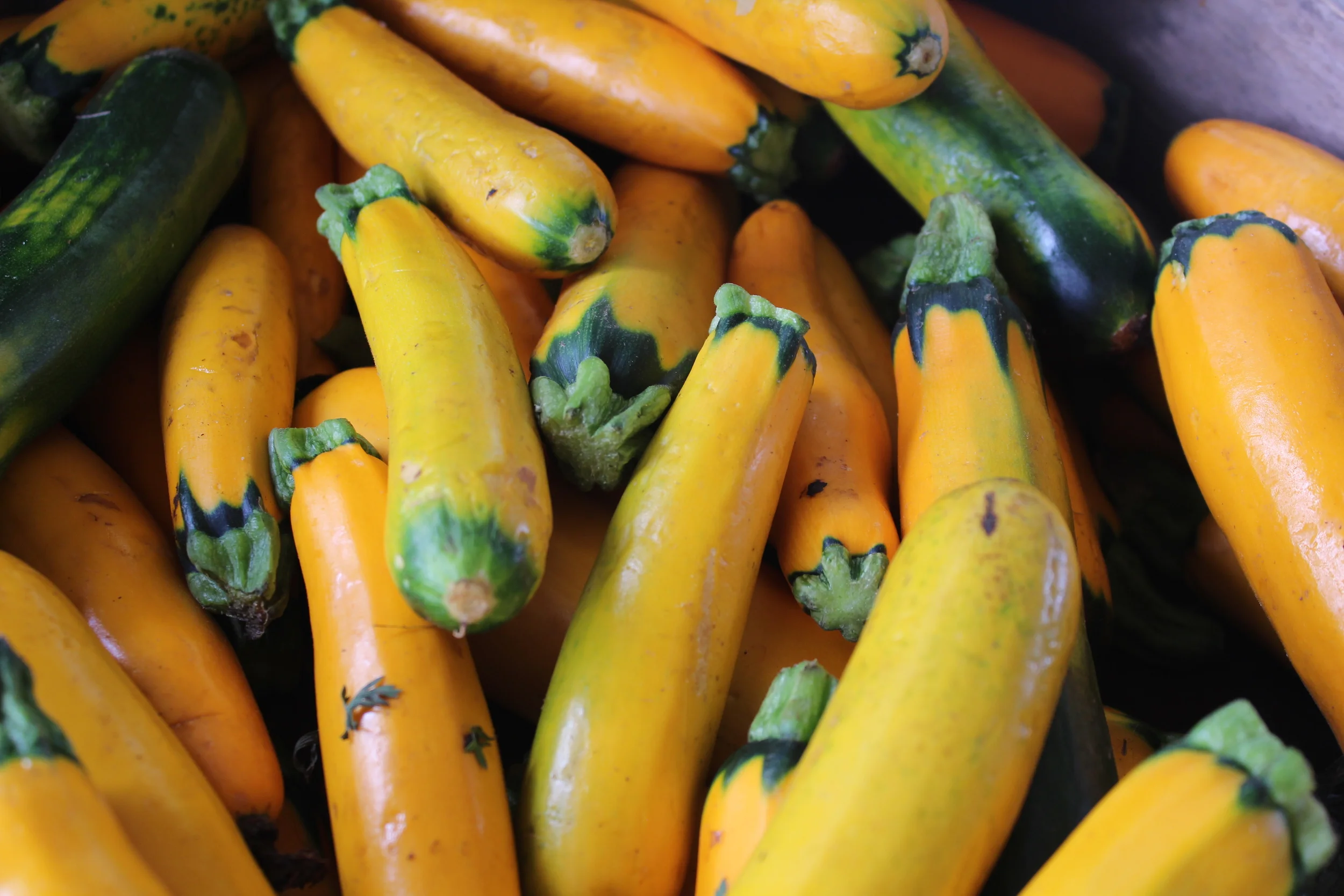 Squash - App Sneak Peek