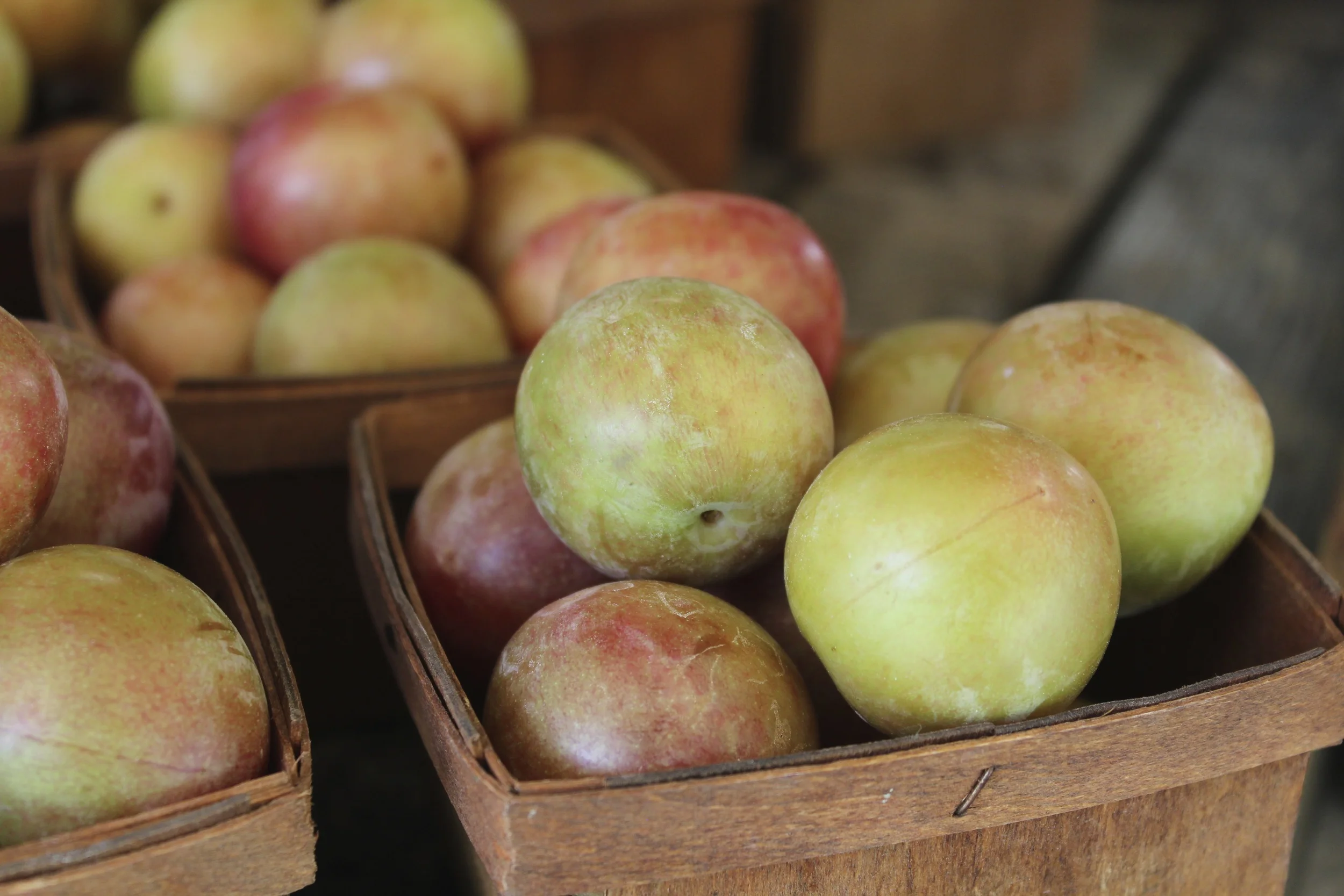 Summer Stone Fruits: Some Simple Inspirations