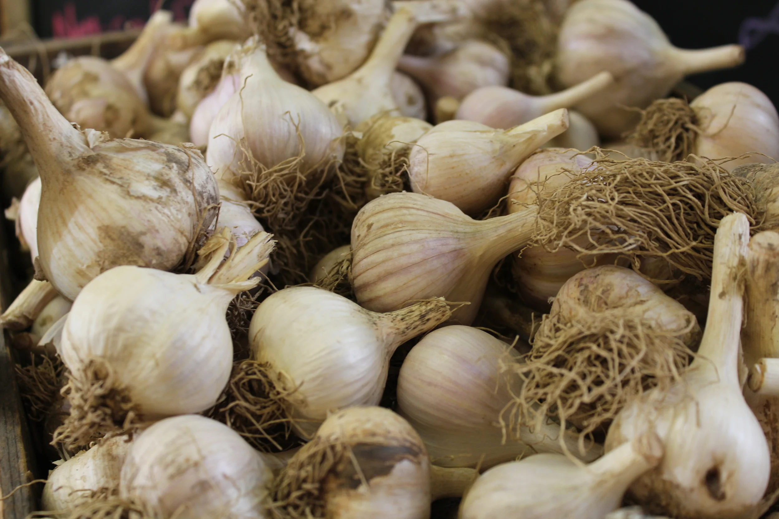 Fight Flu & Cold with Food!