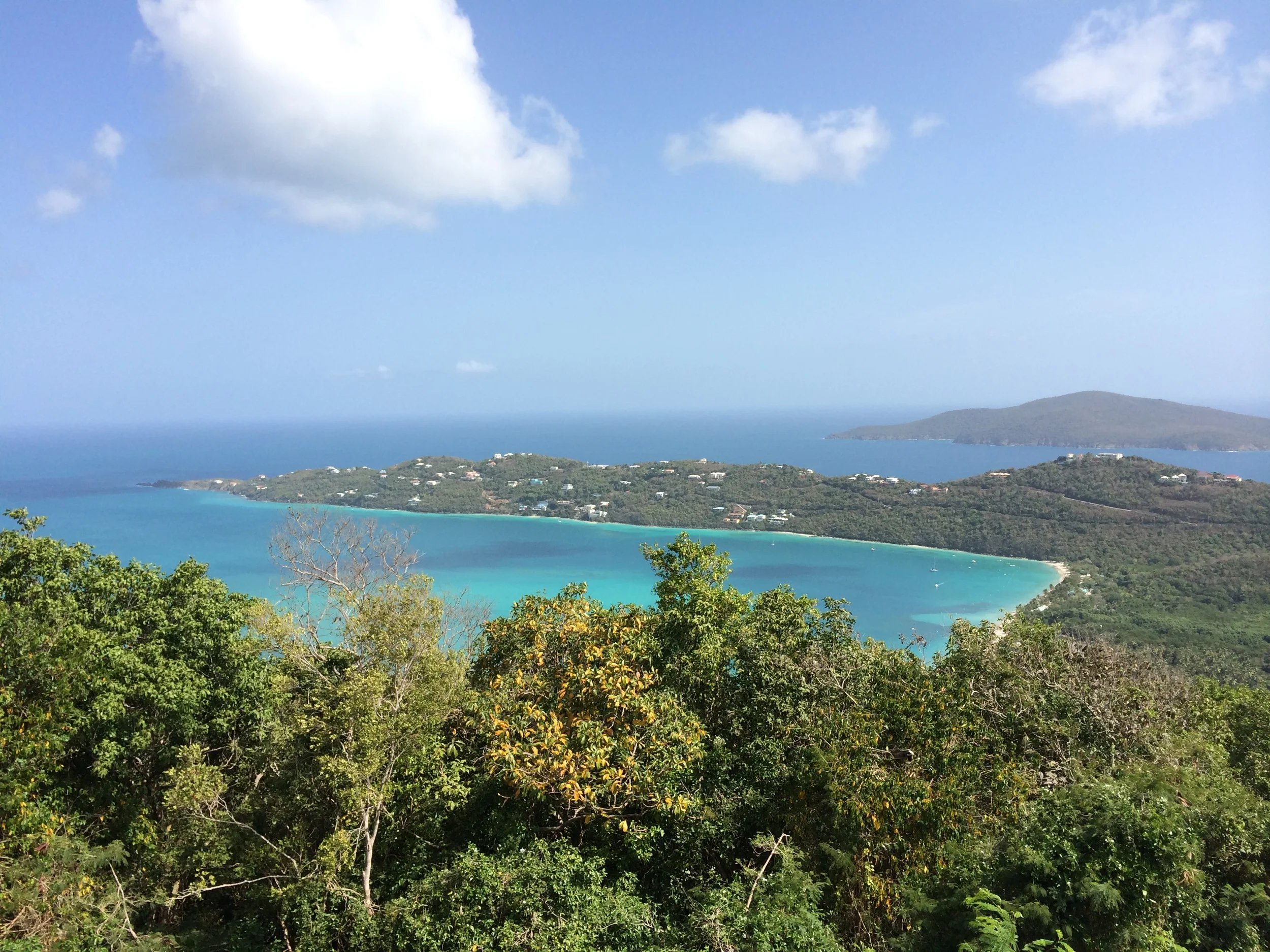 Diabetes in Paradise?