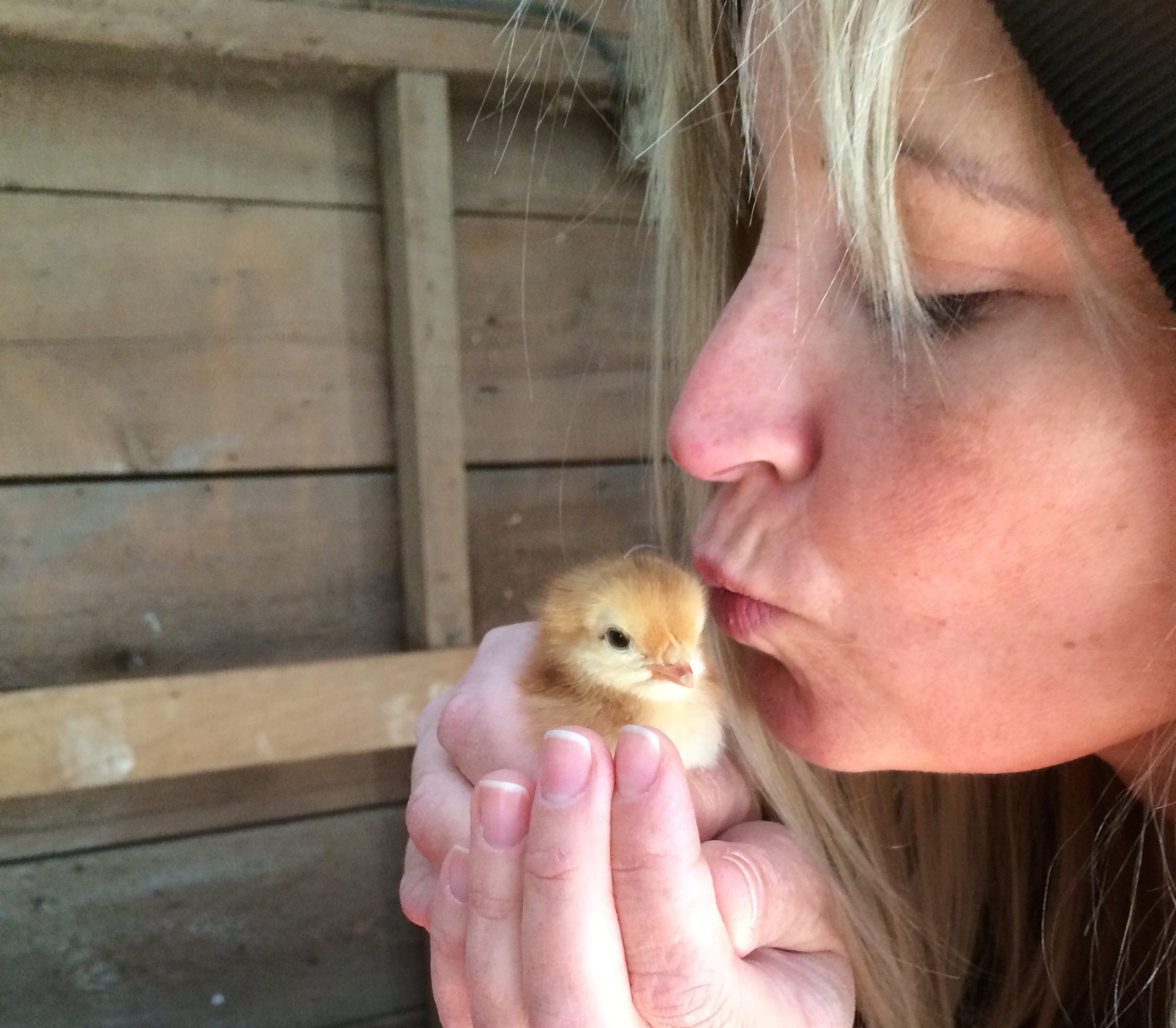 Are Your Kids Fat, Sick or Stupid?