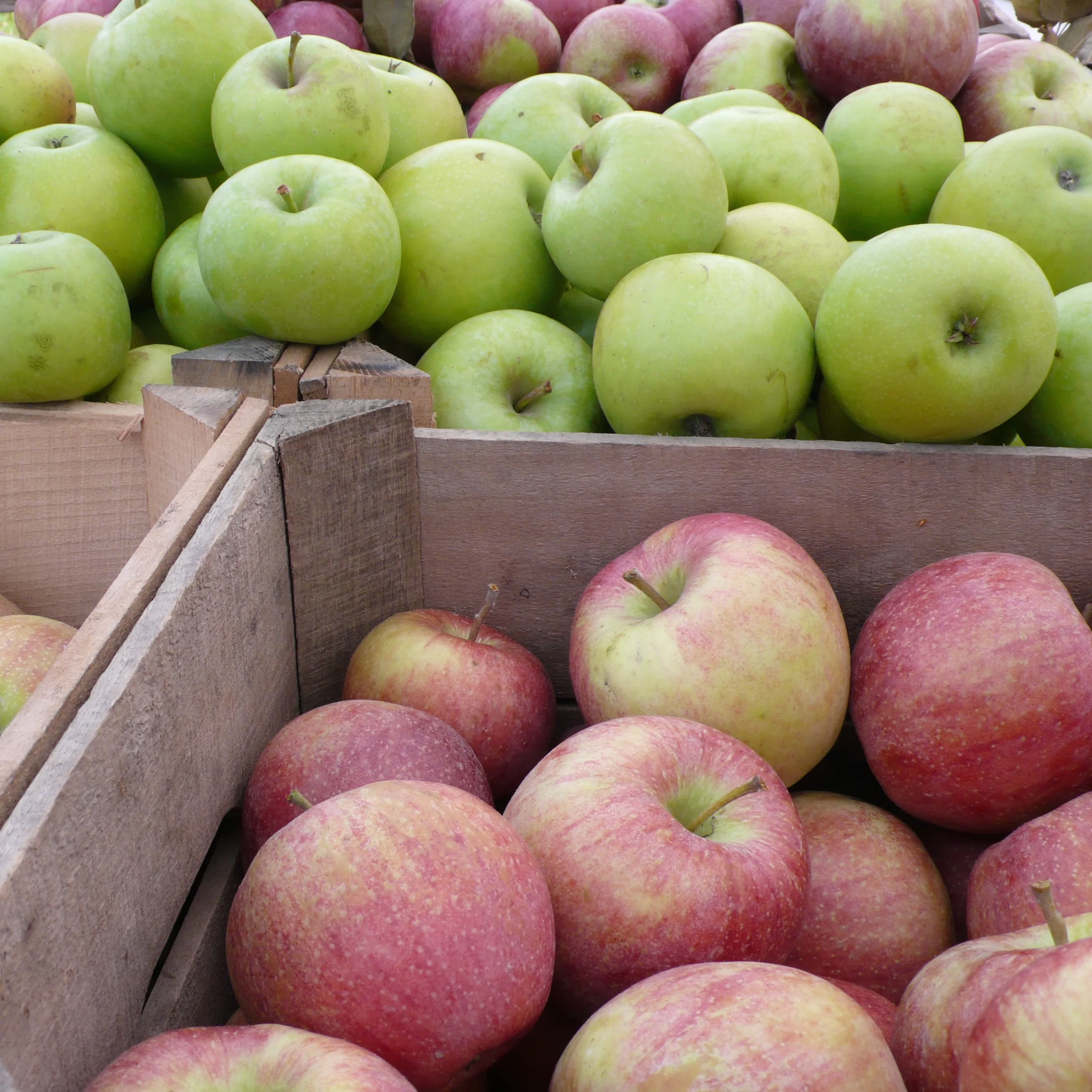 Cooking with apples - think outside of the pie!