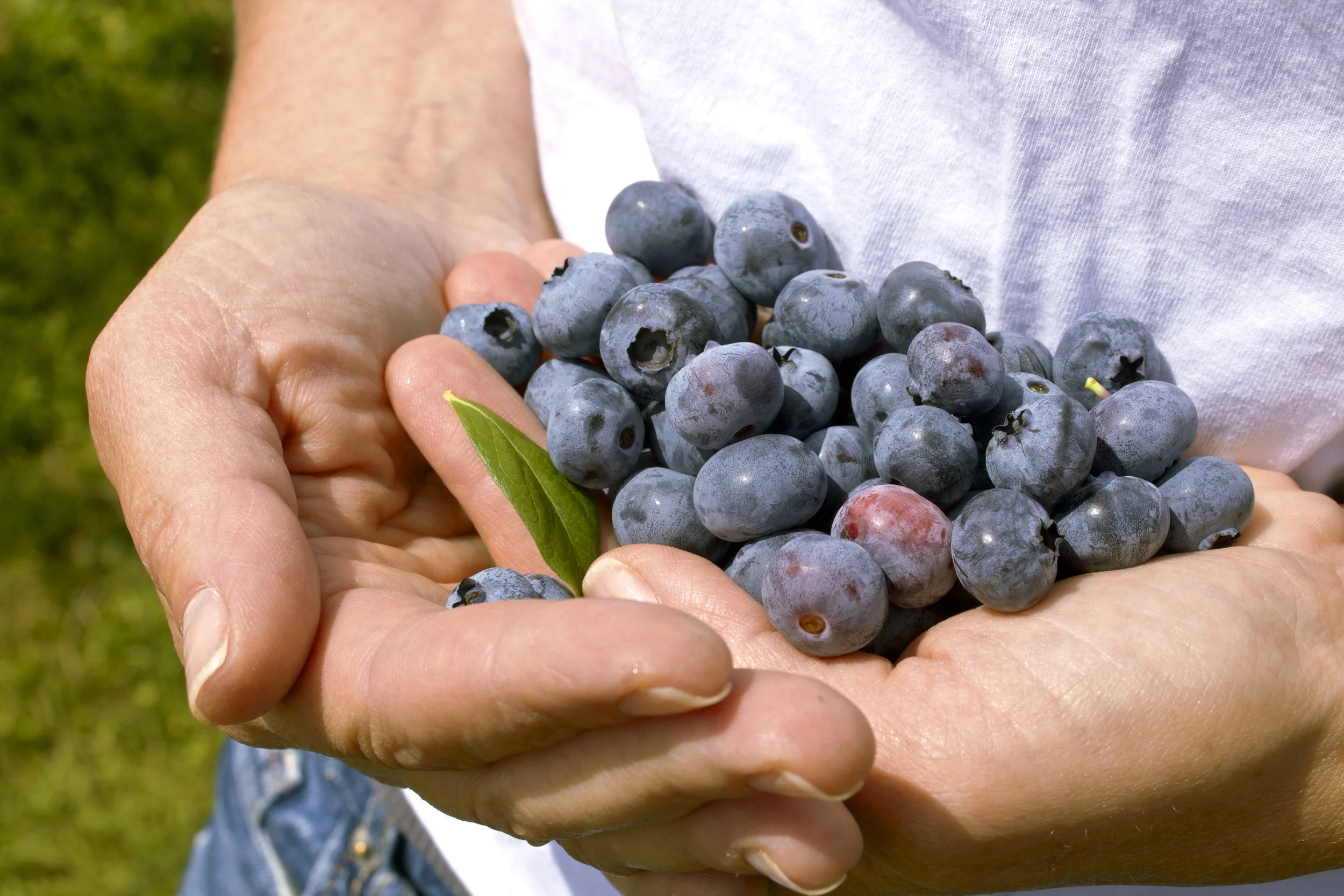 Get your Brain in the Game: think yourself thin, well and young.