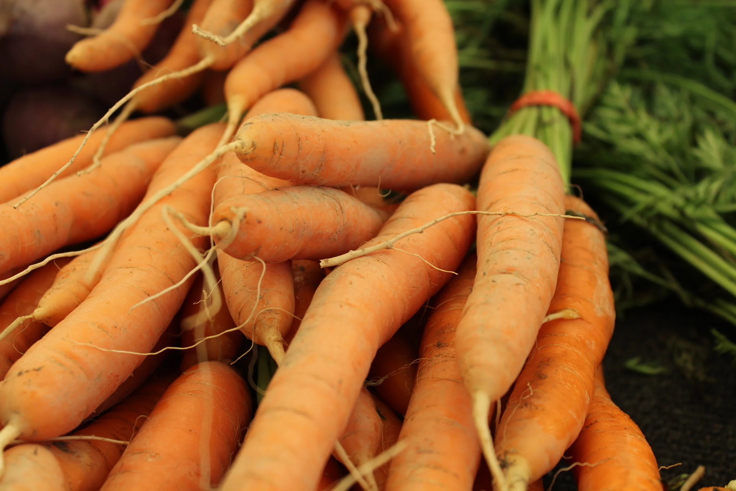 Coco-Carrot "Cake" Muffins