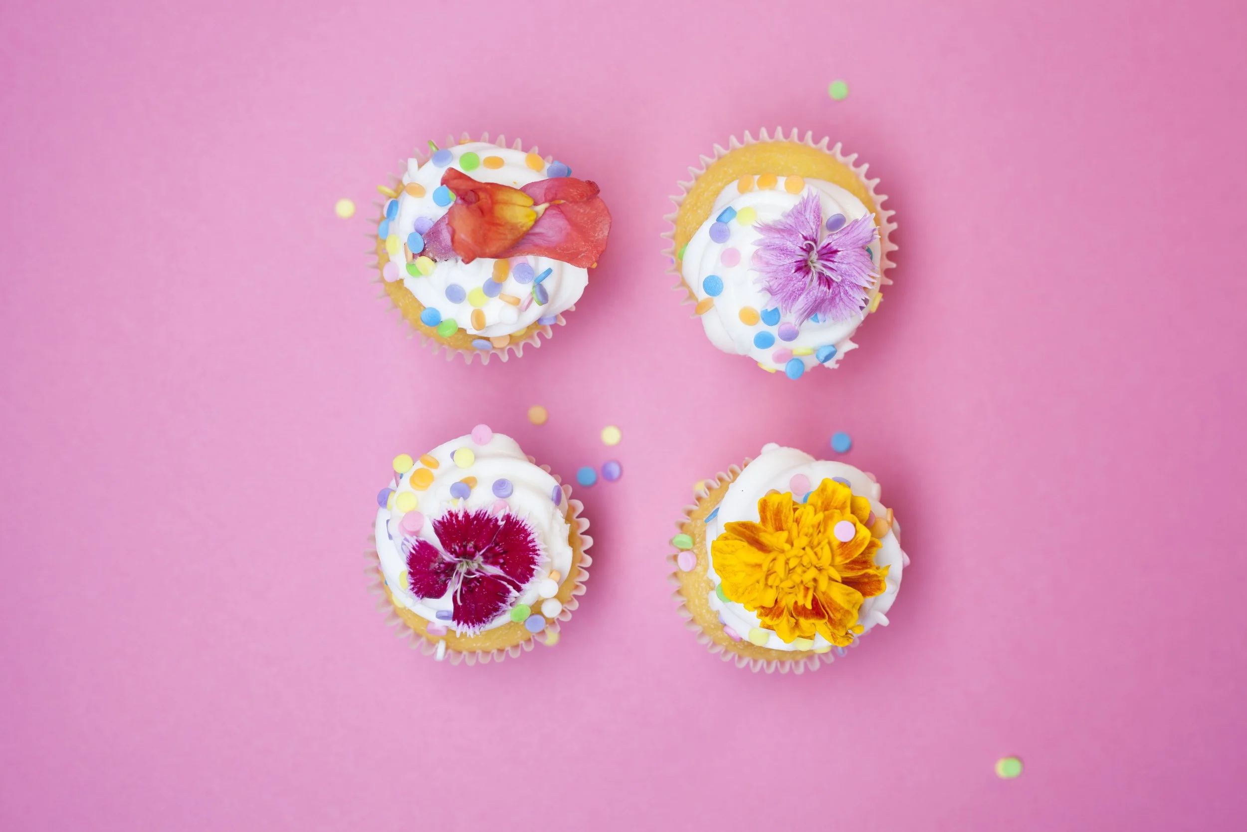 cupcakes_site.jpg