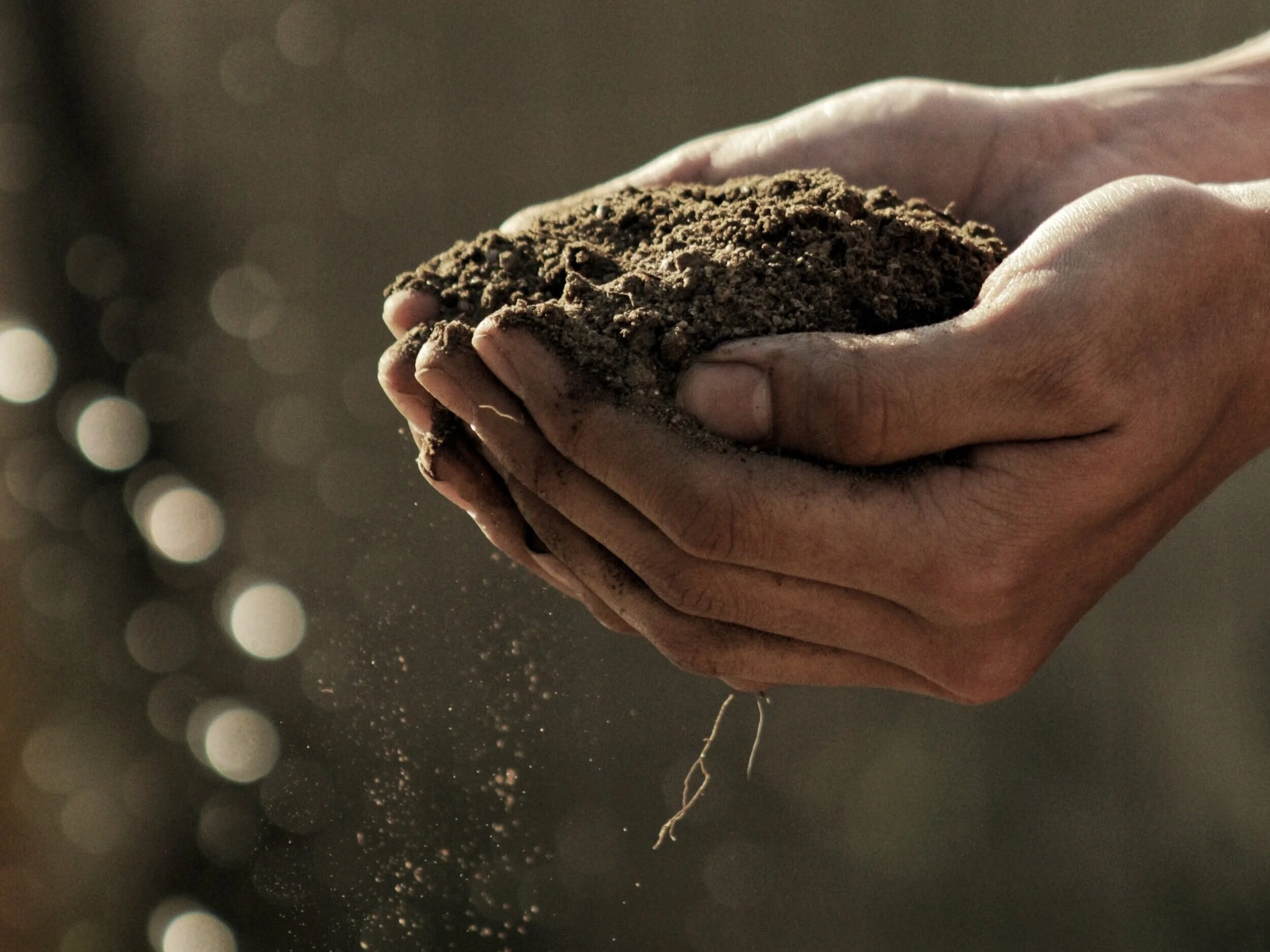 Smart Farming - Soil Sampling for a Better Crop