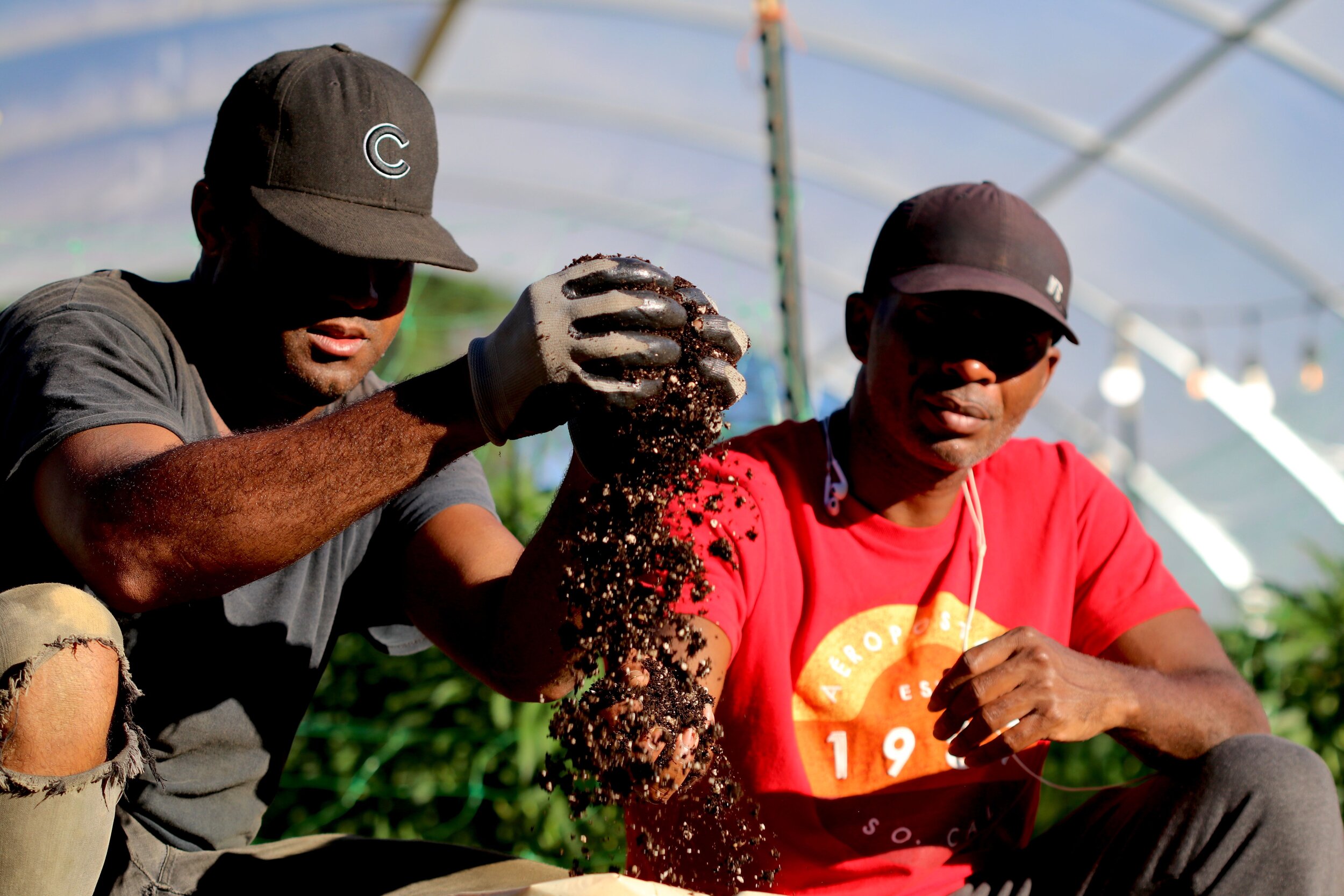  Two farm team members, wearing a dark grey shirt and a red shirt, holding soil in their hands with a hoop house behind them.  