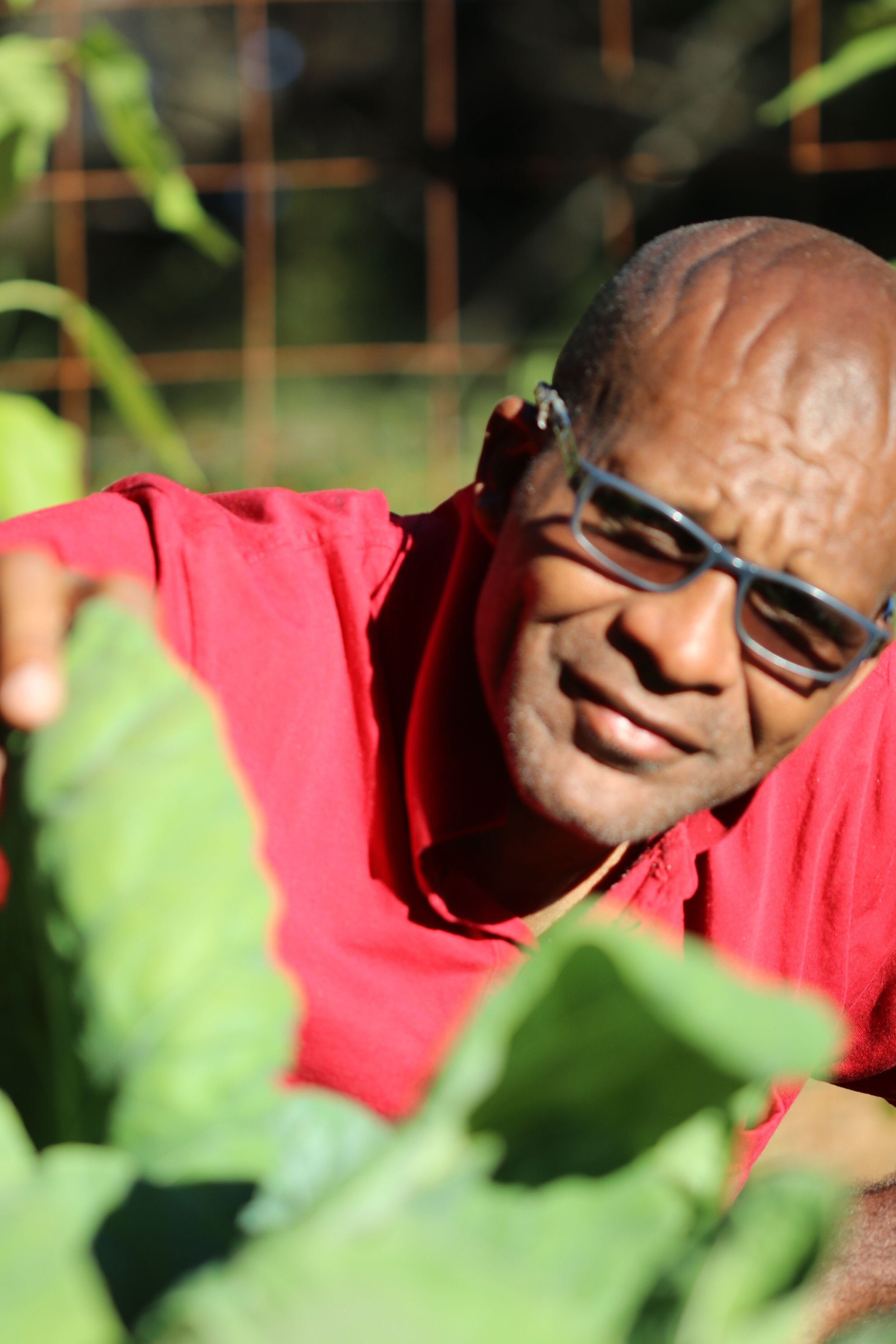  Farm team member wearing a red shirt and glasses with plants surrounding him.  