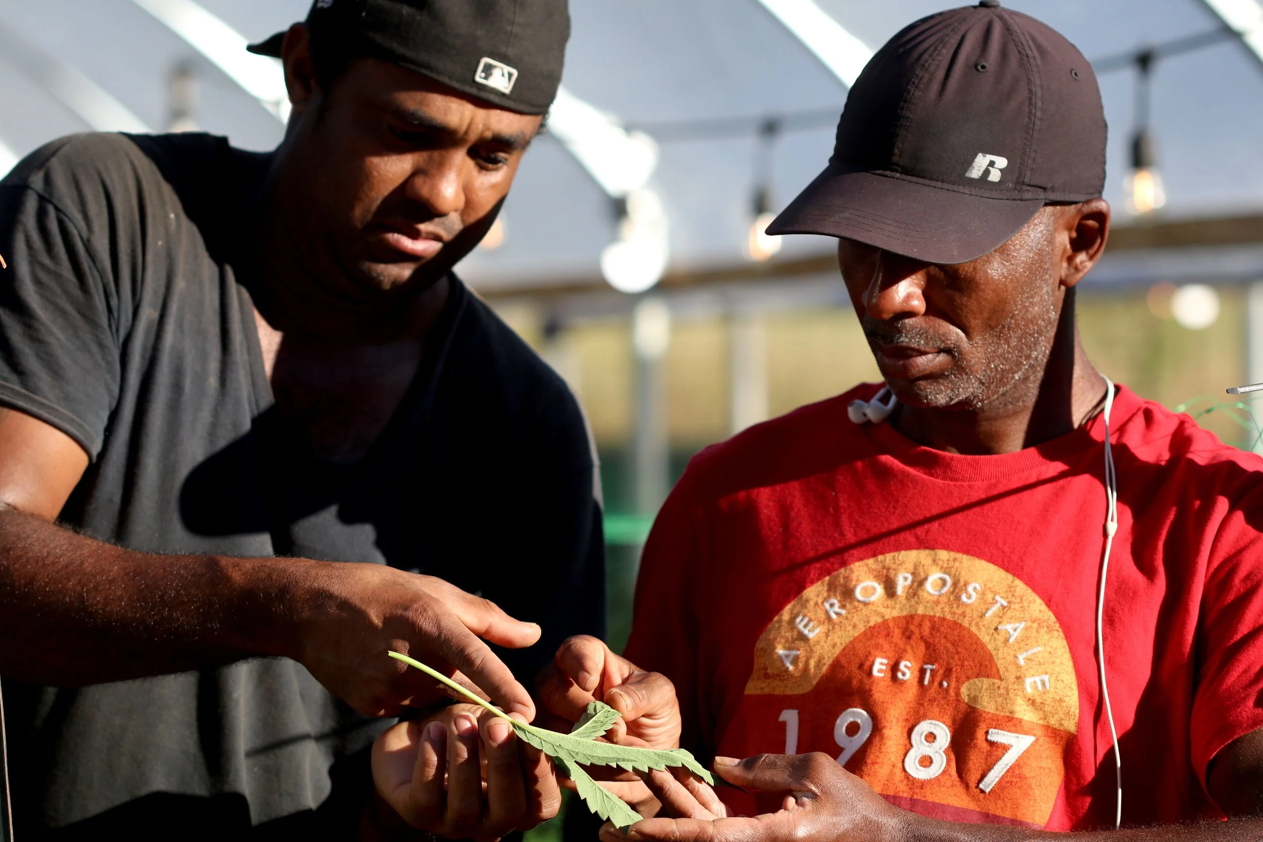 Smart Farming - Identifying and Controlling Pest "Hot Spots"