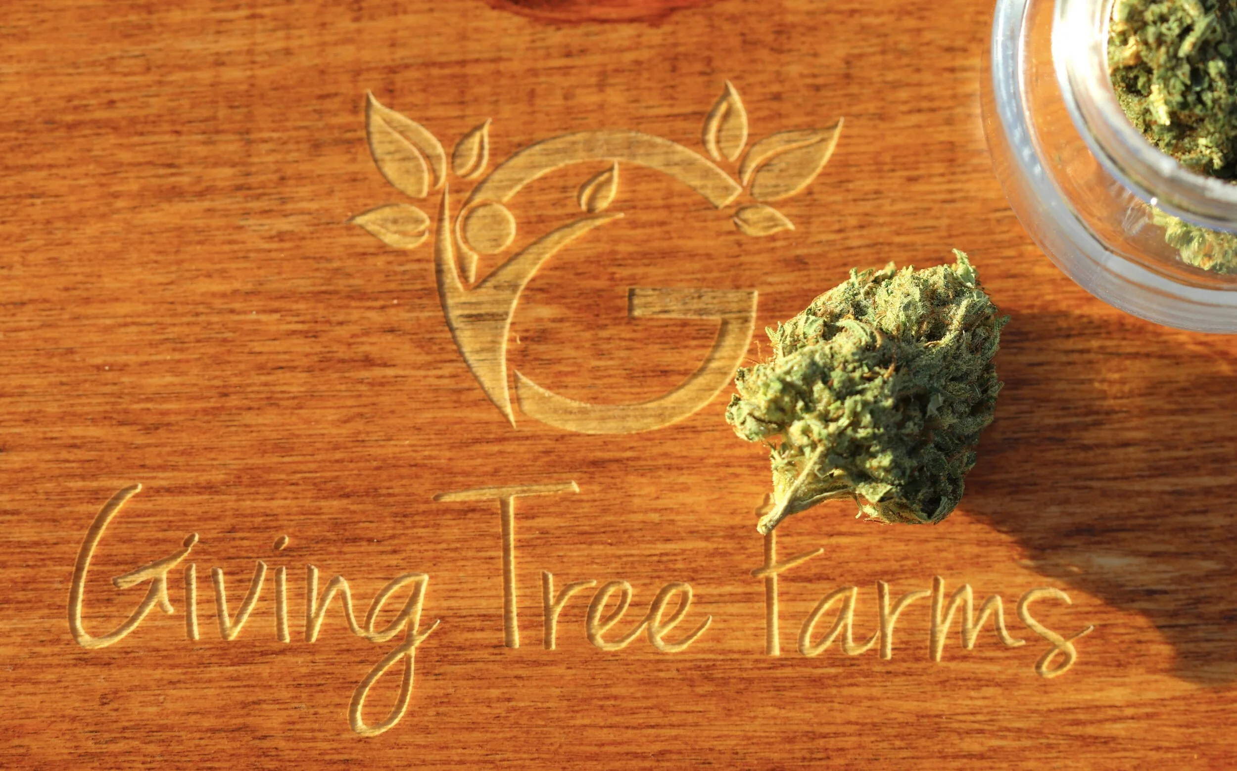 Highlighting Our Favorite Cannabis Brands