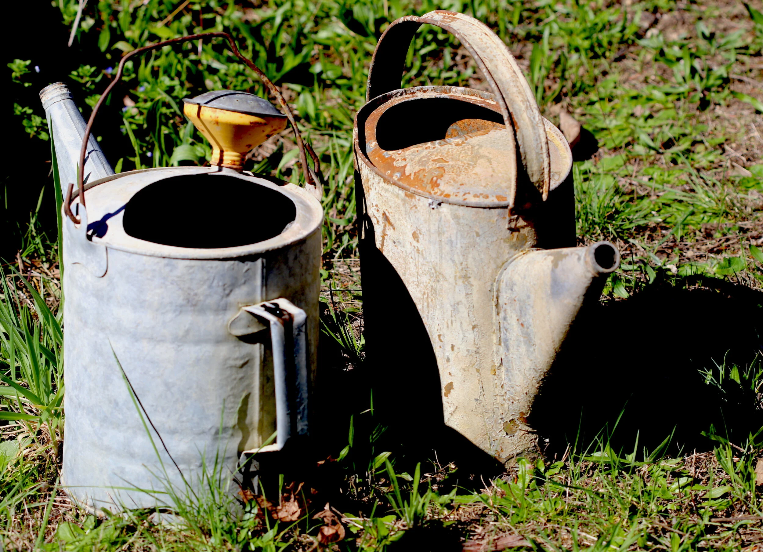 Personalizing Sustainable Cultivation