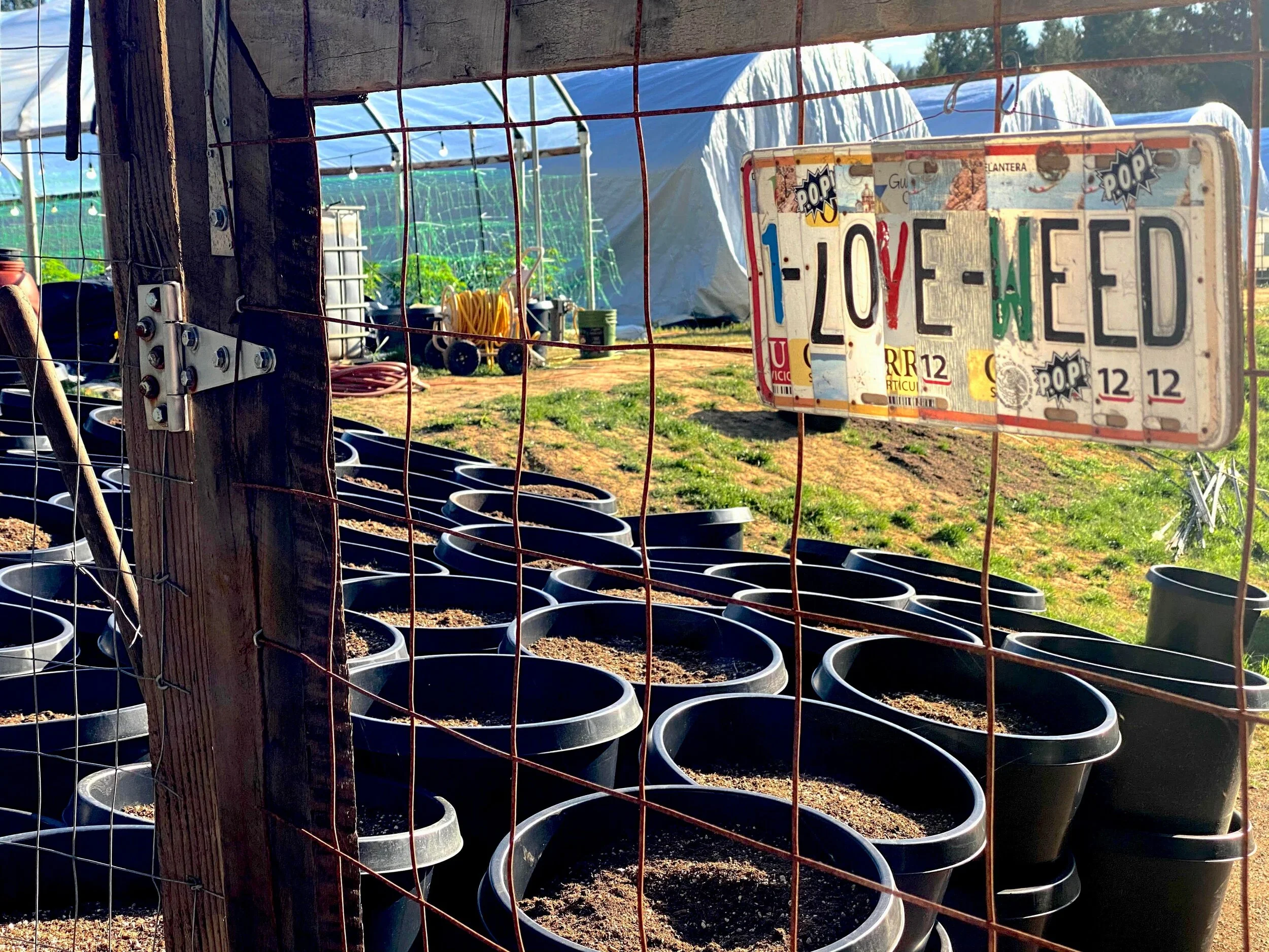 Why We Use Pots
