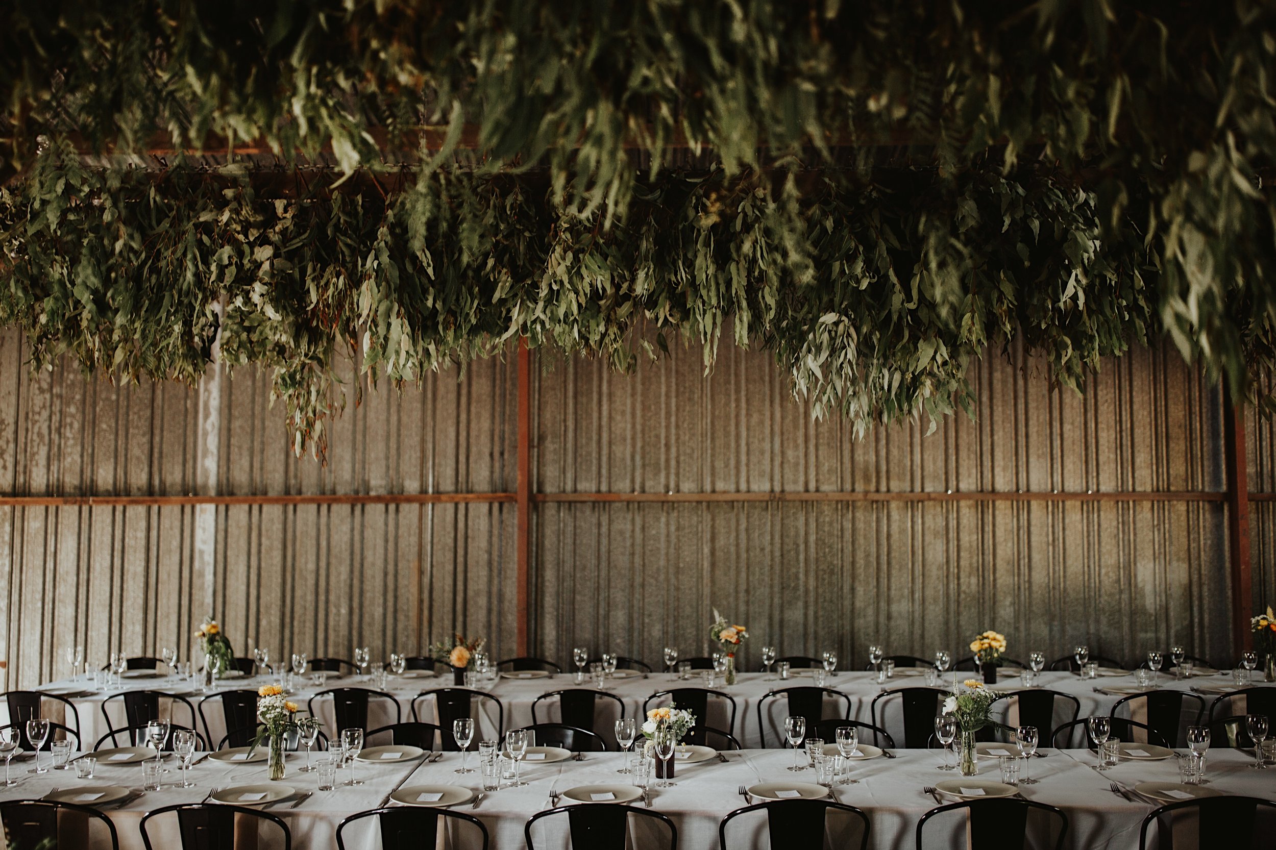 AustraliaweddingTom 0097.jpg