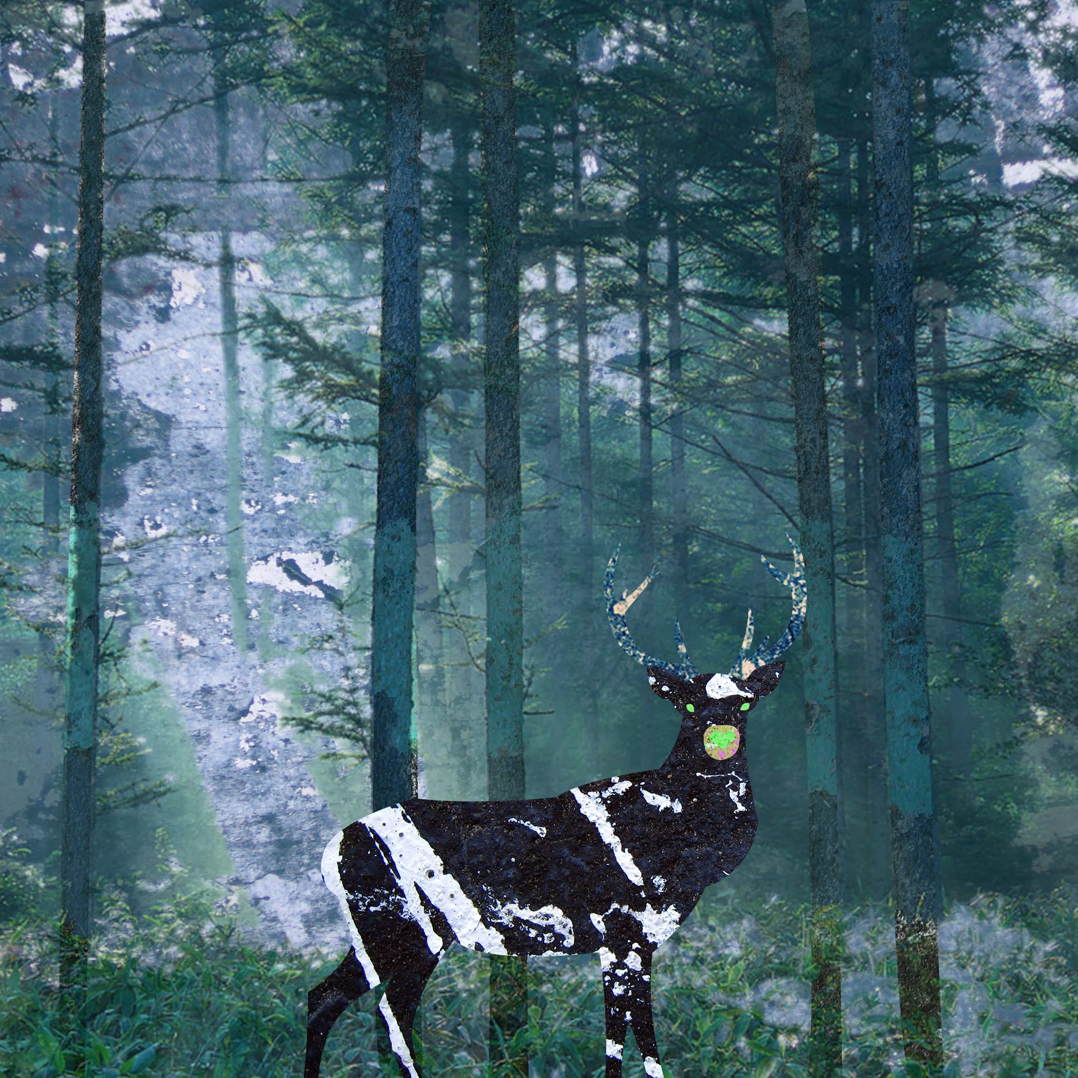 STAG.jpg