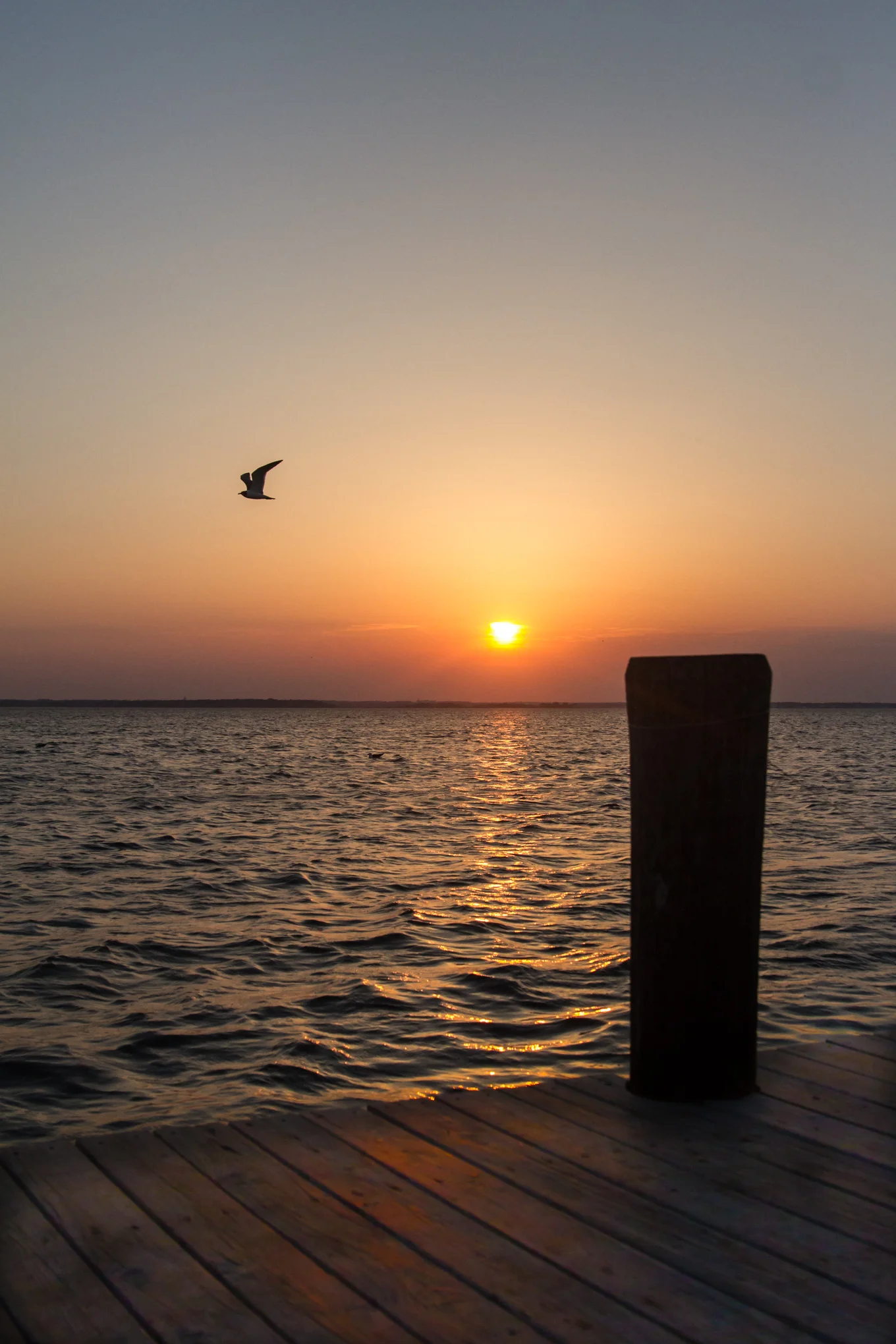 _MG_4936.jpg