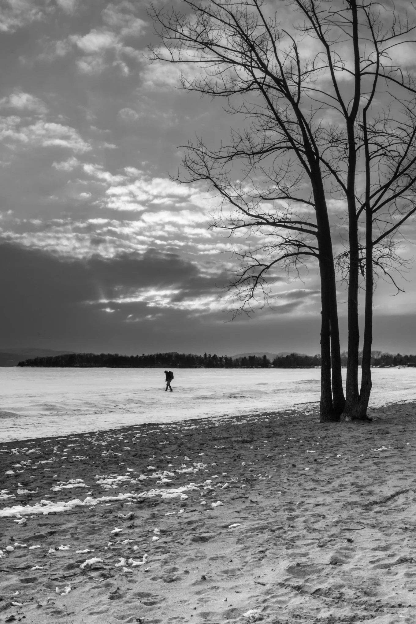 _MG_8673.jpg