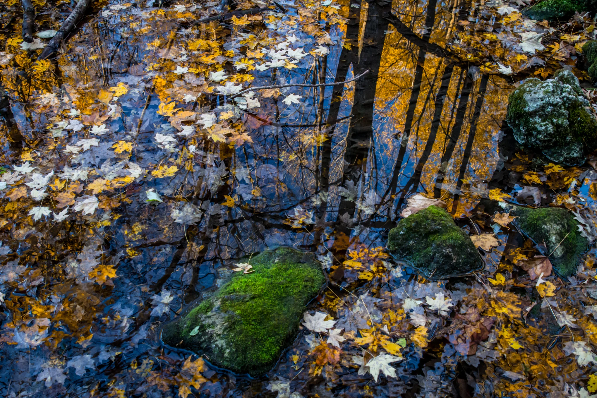 untitled-0465.jpg