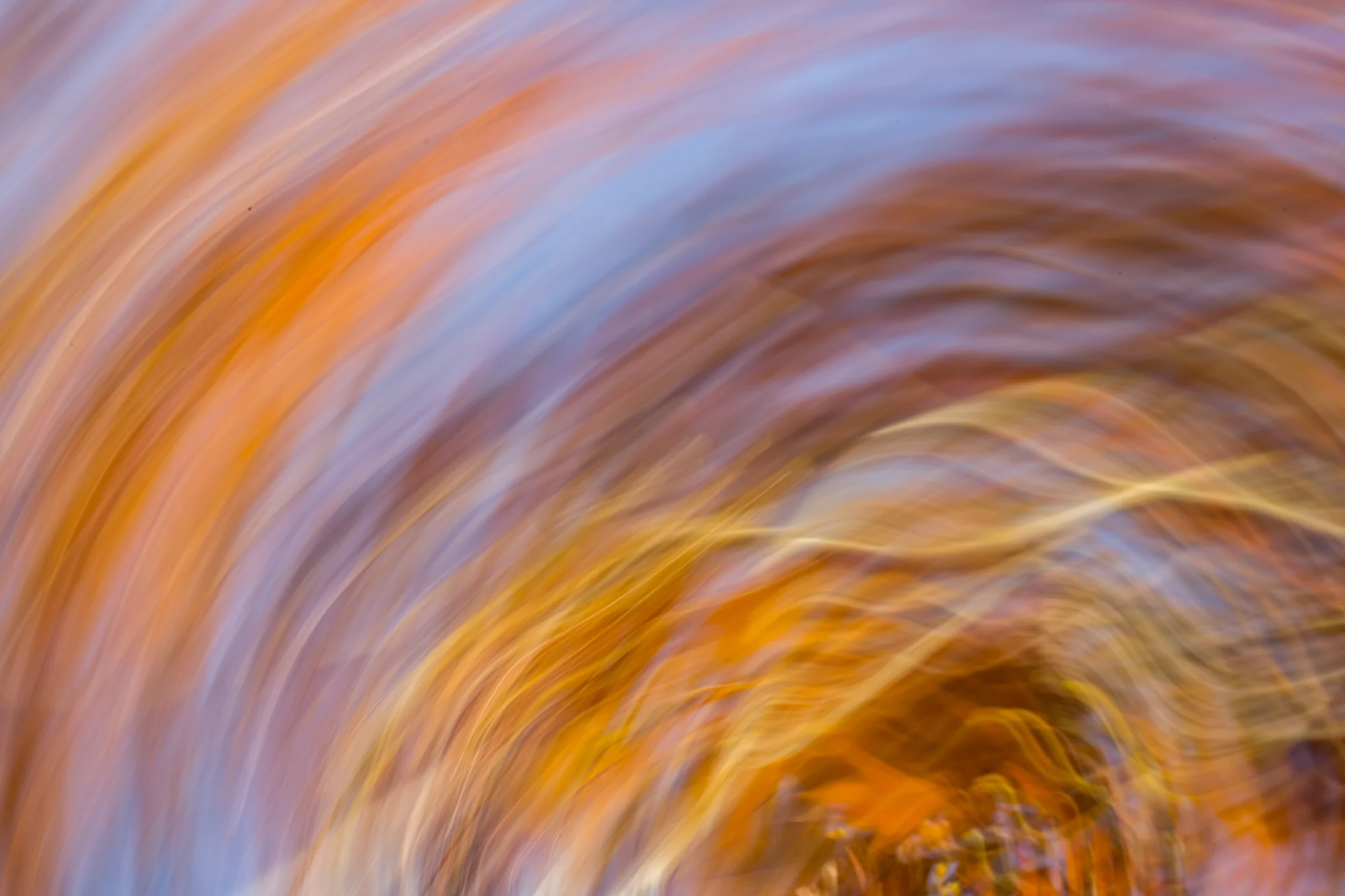 untitled-6026.jpg