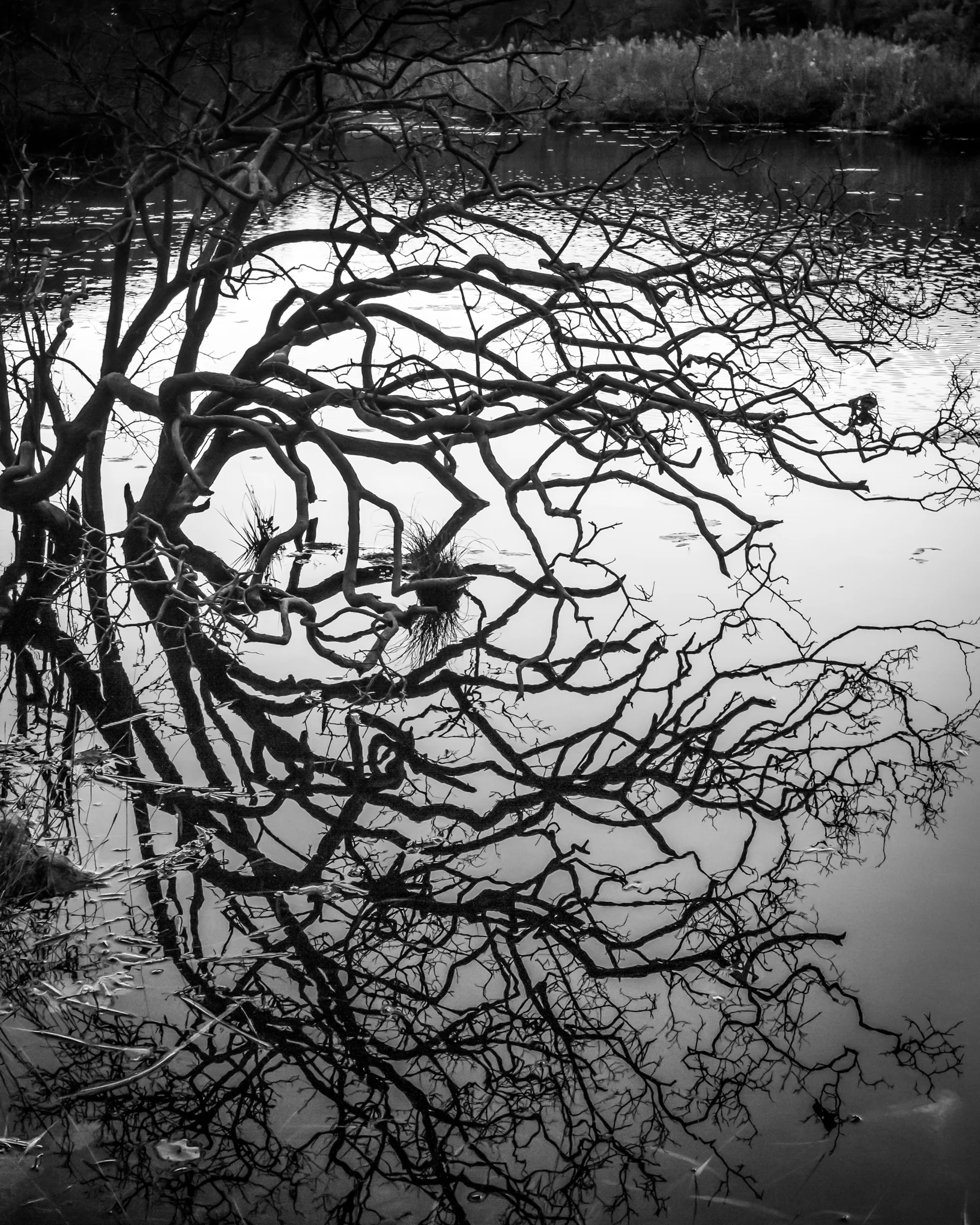 untitled-0795.jpg