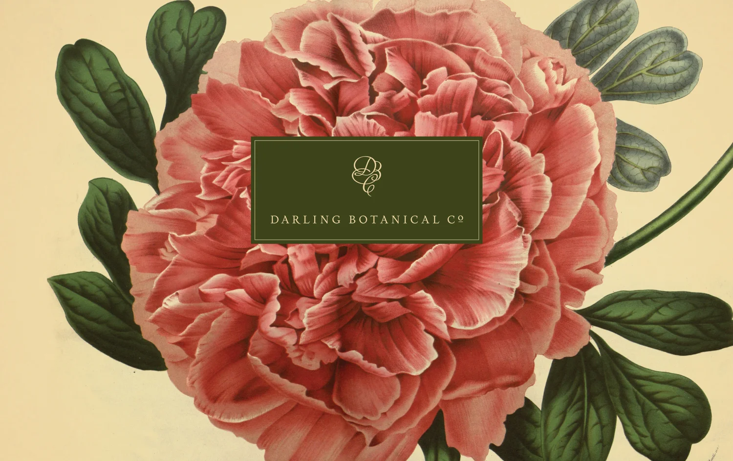 Darling Botanical Co. Traverse City, Michigan