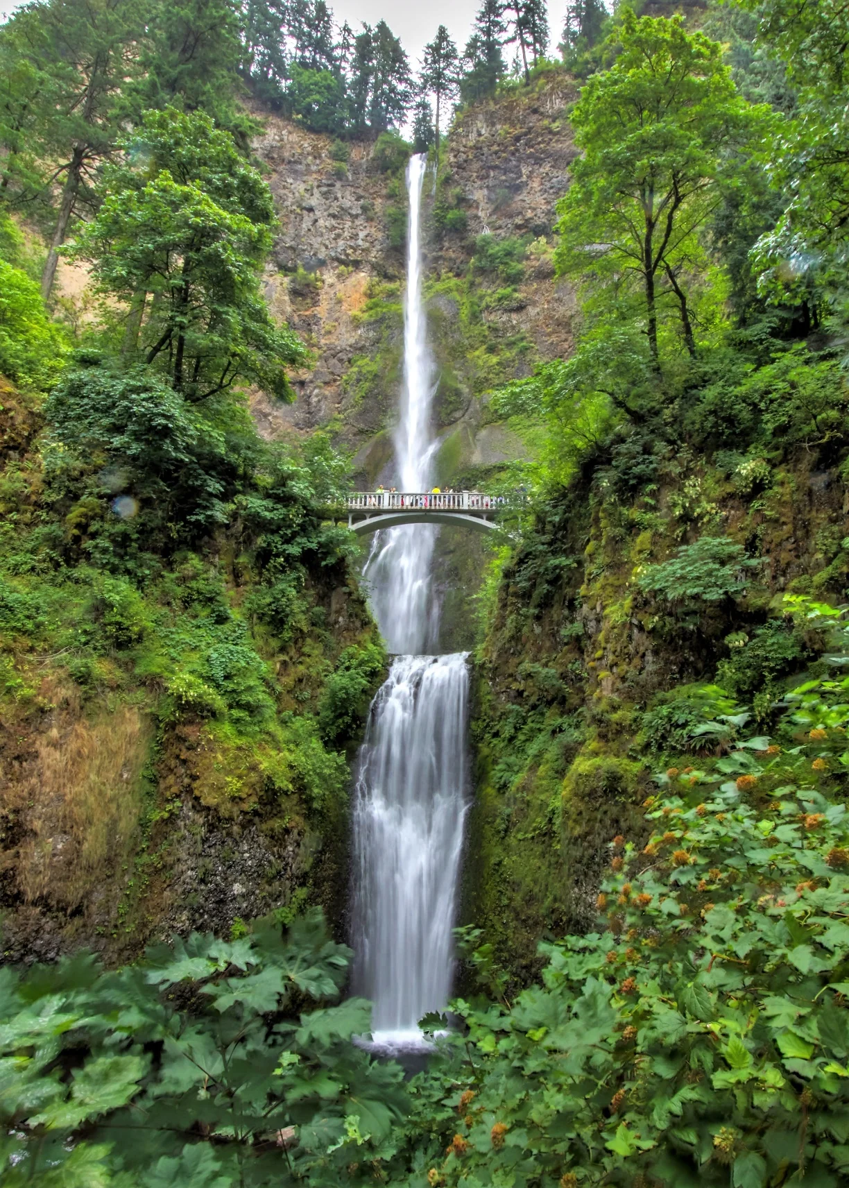 zz-falls2a2.jpg