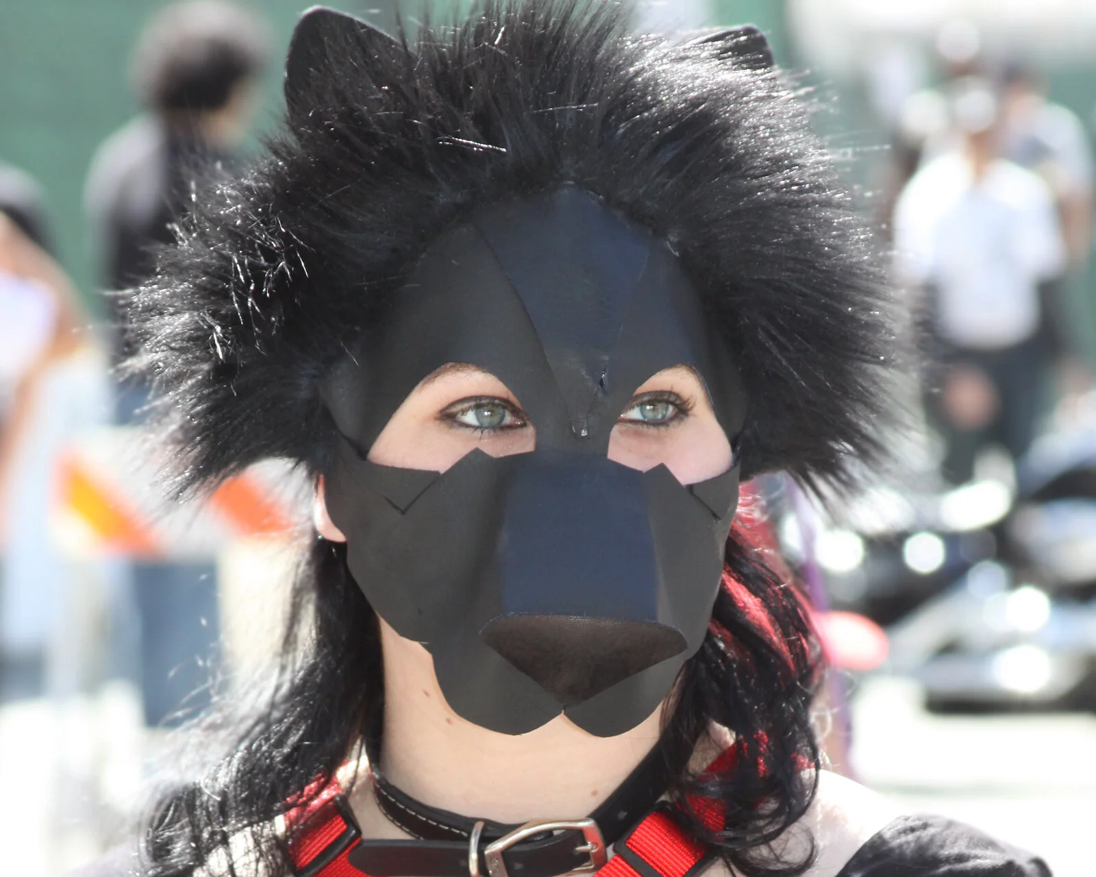IMG_2652-sized.jpg