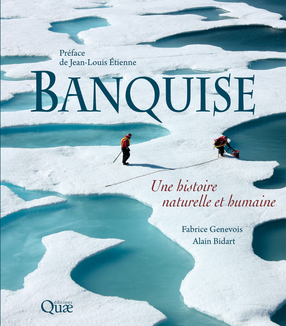 banquise.jpg