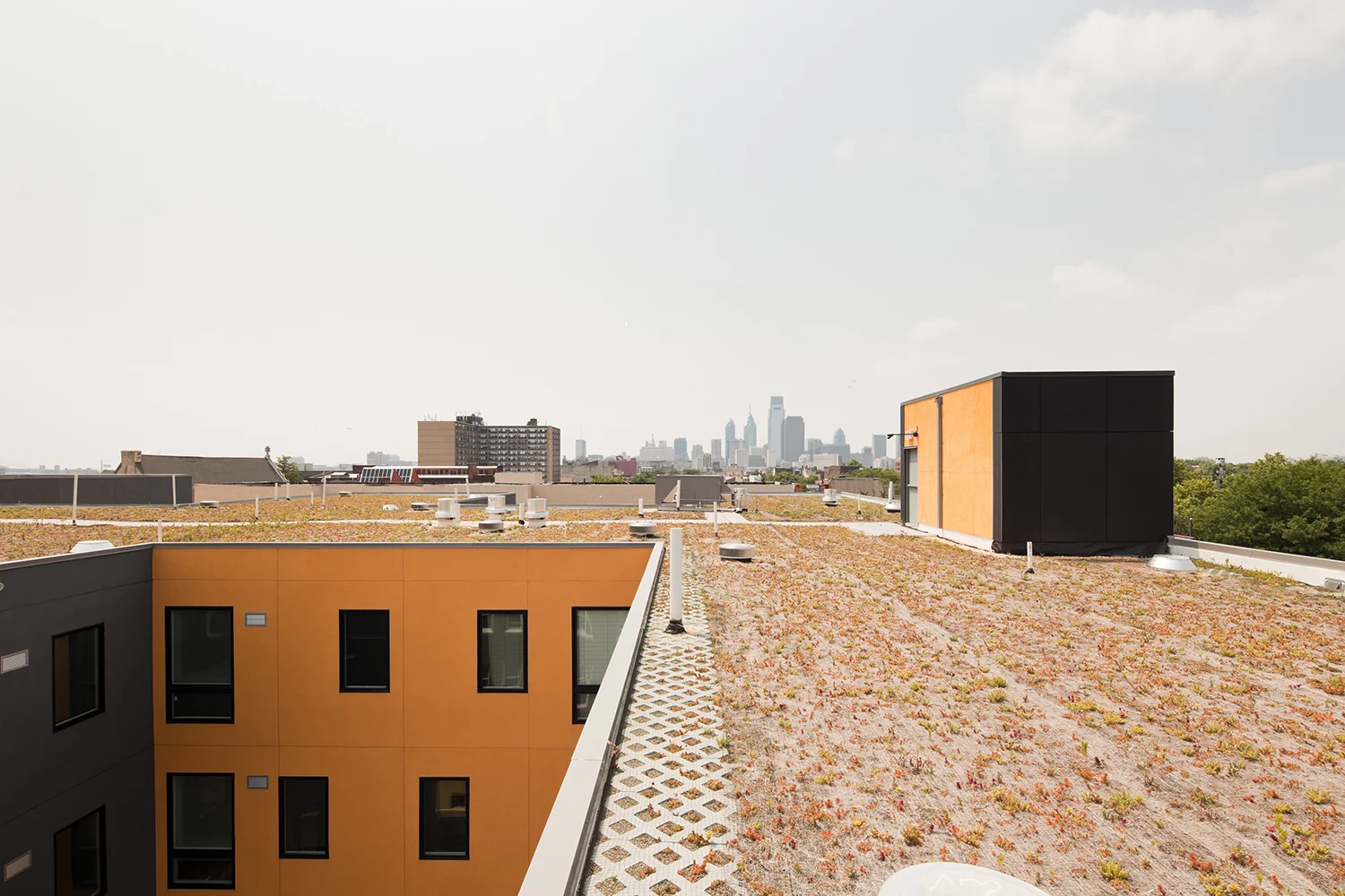 so2011022_greenroof_08_001.jpg